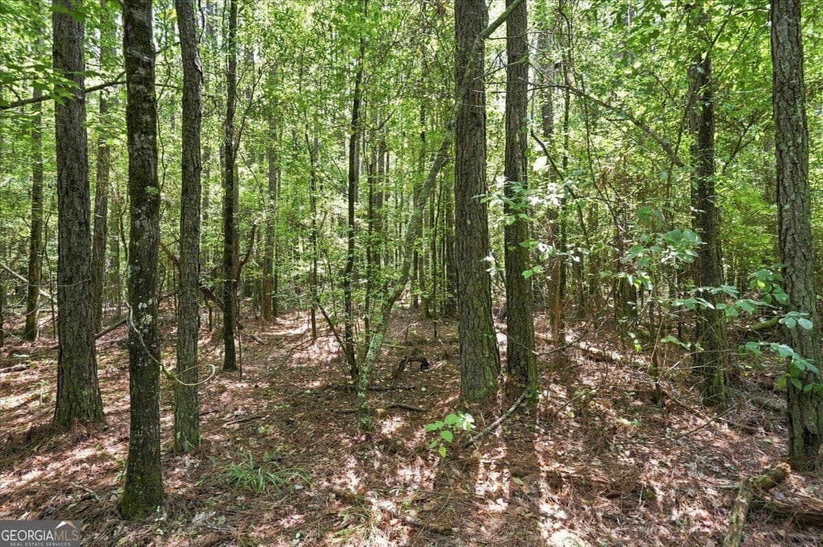 agriculture for sale at 0 Cherokee Road, Elberton, GA 30635 — photo 4
