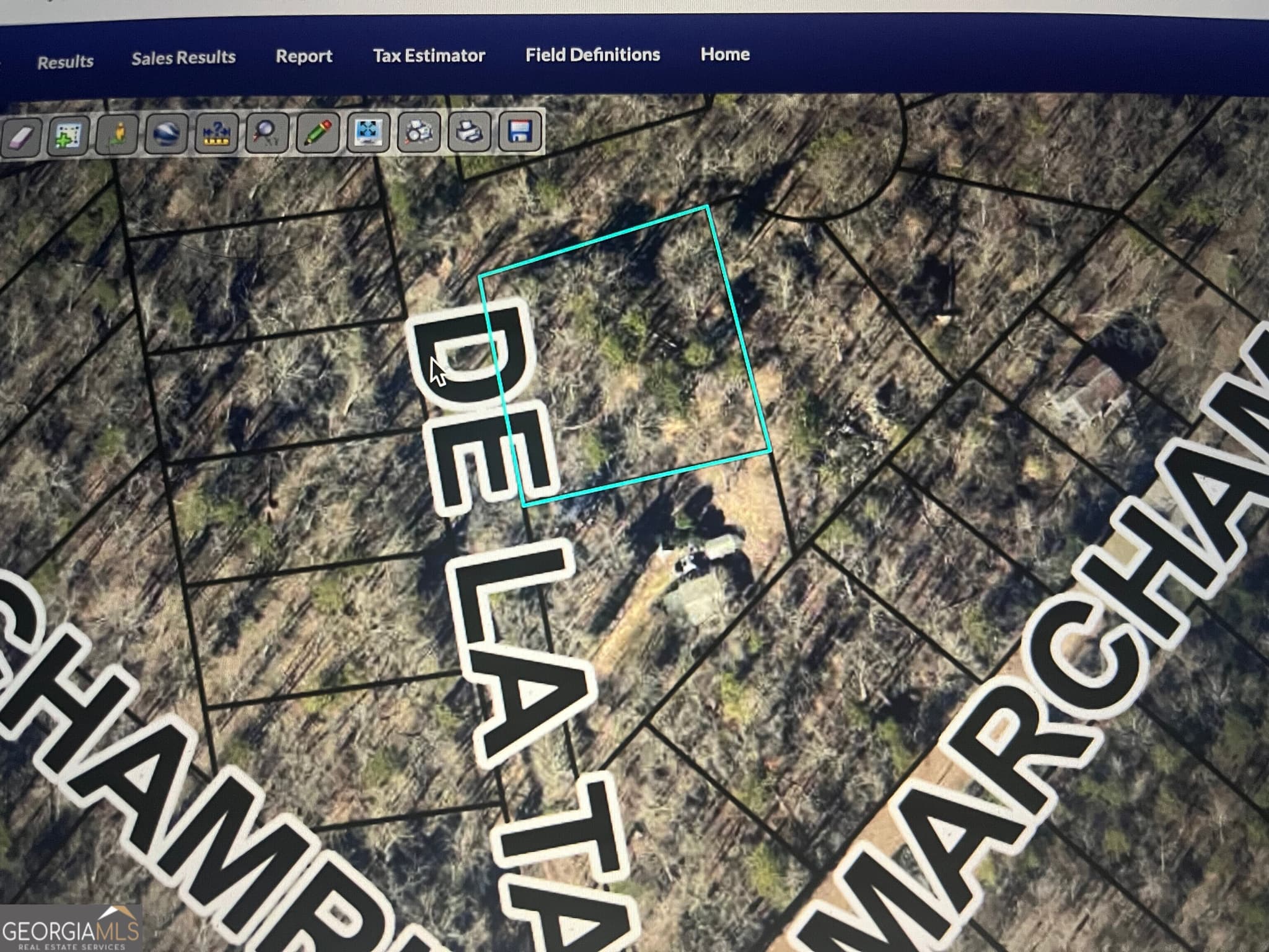 residential lot for sale at 132 De La Taix Drive, Lavonia, GA 30553 — photo 4