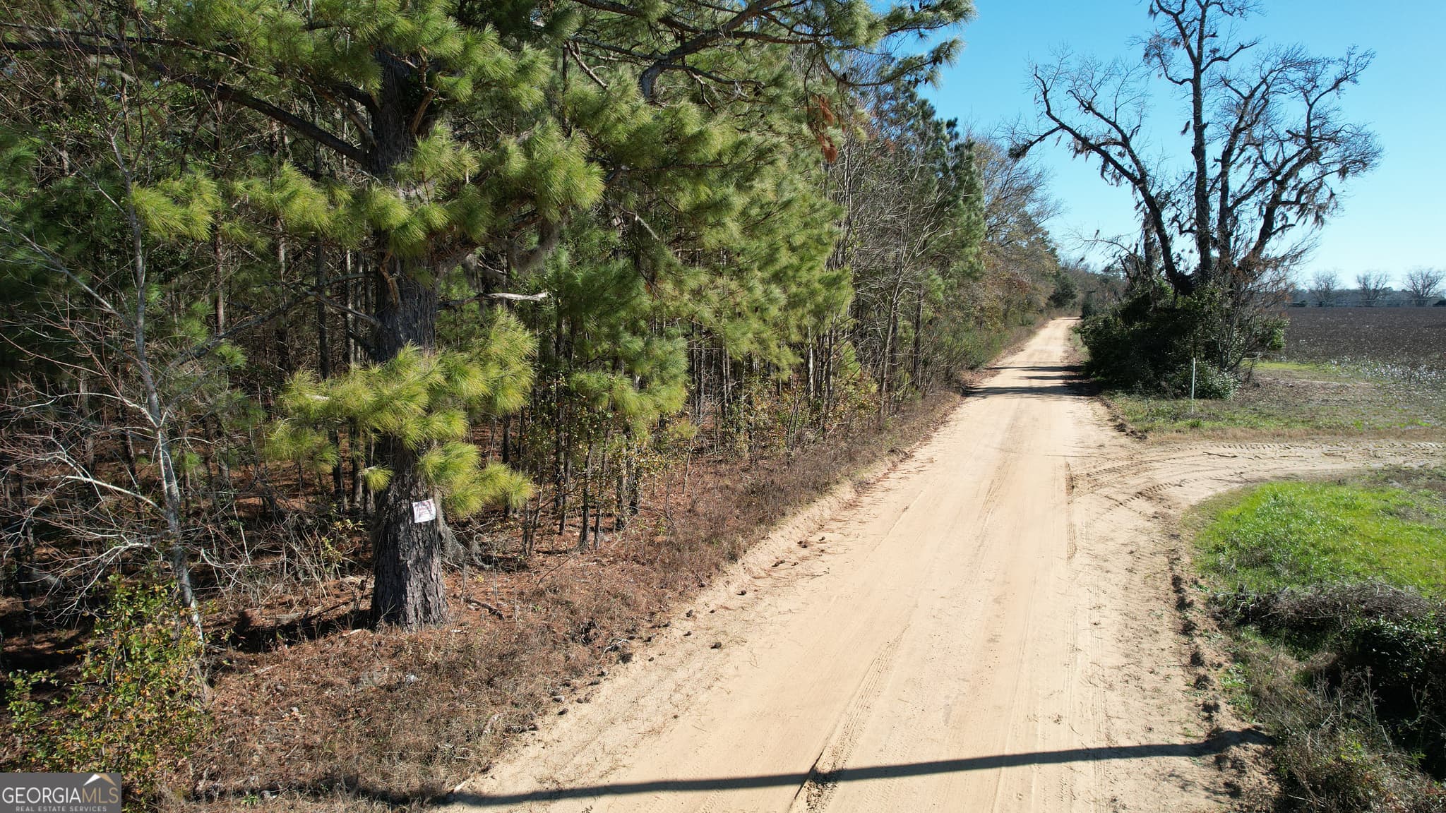 agriculture sold at 0 Ennis School Road, Sylvania, GA 30467