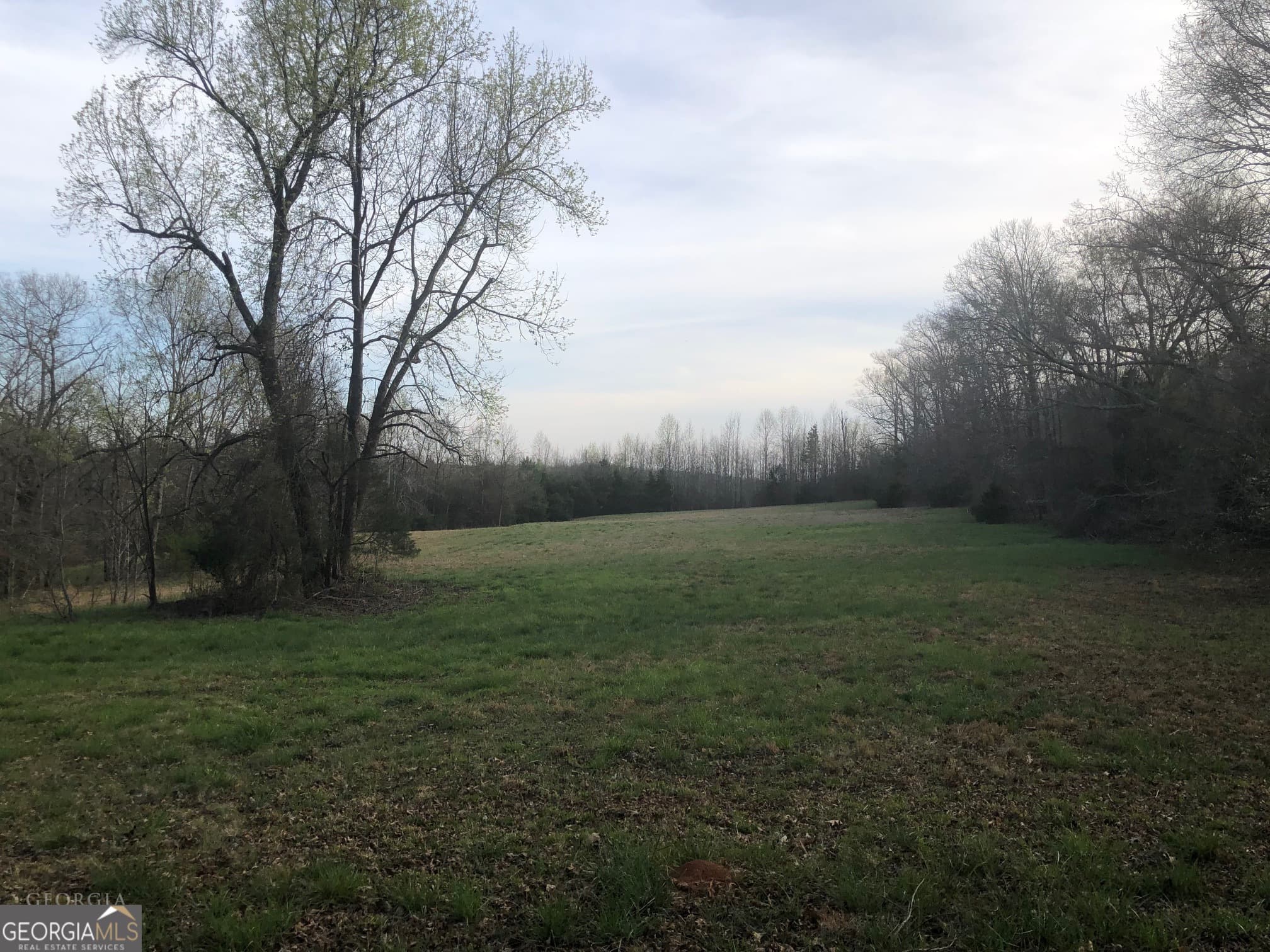 agriculture for sale at 840 Haggard Road, Commerce, GA 30529 — photo 7