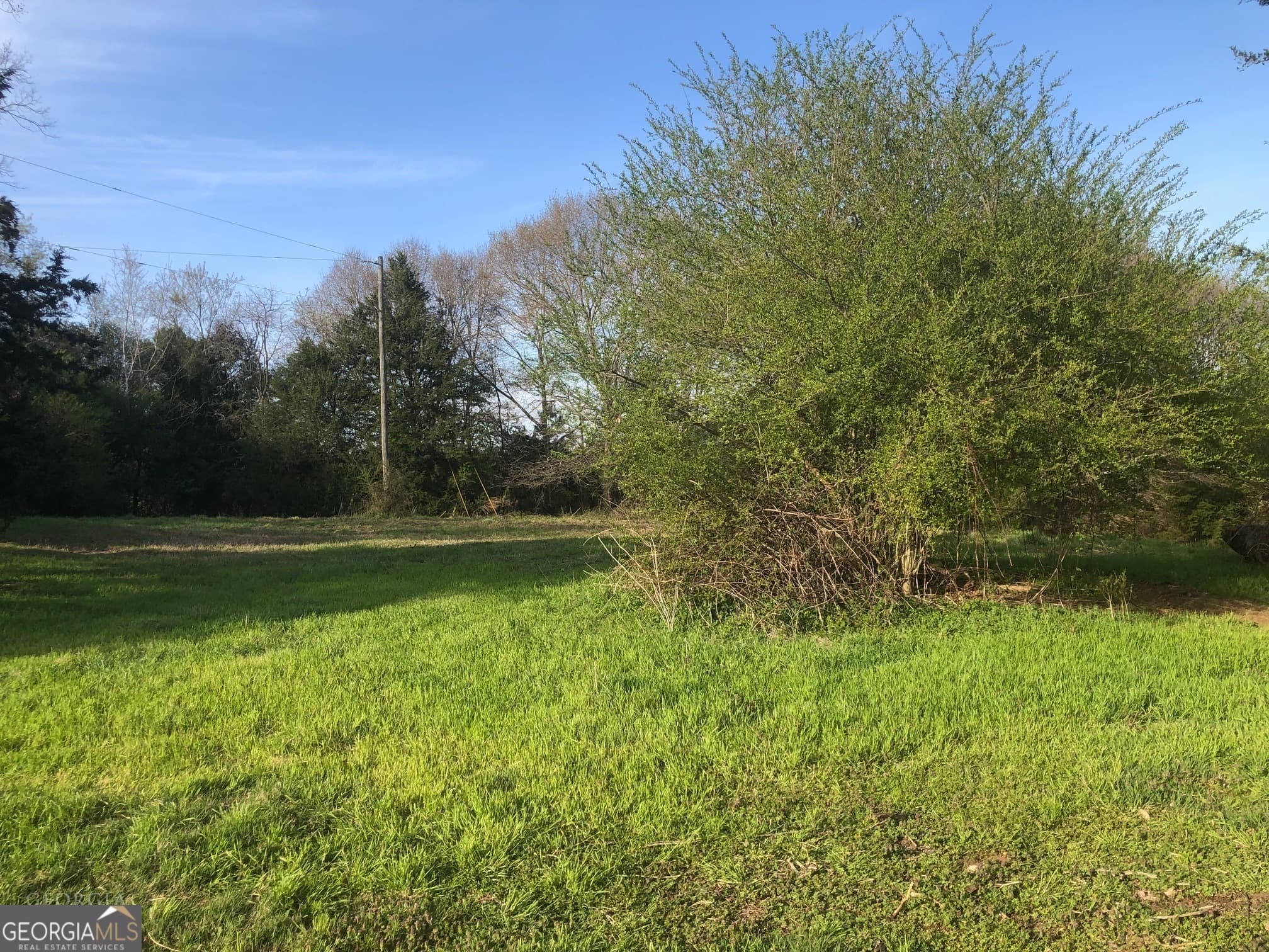 agriculture for sale at 840 Haggard Road, Commerce, GA 30529 — photo 4
