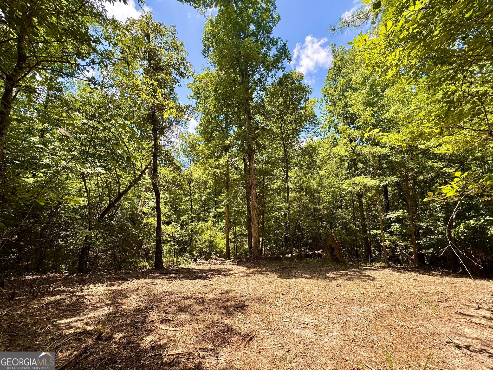 agriculture for sale at 2 Roy Lawrence Road, Sparta, GA 31087 — photo 2