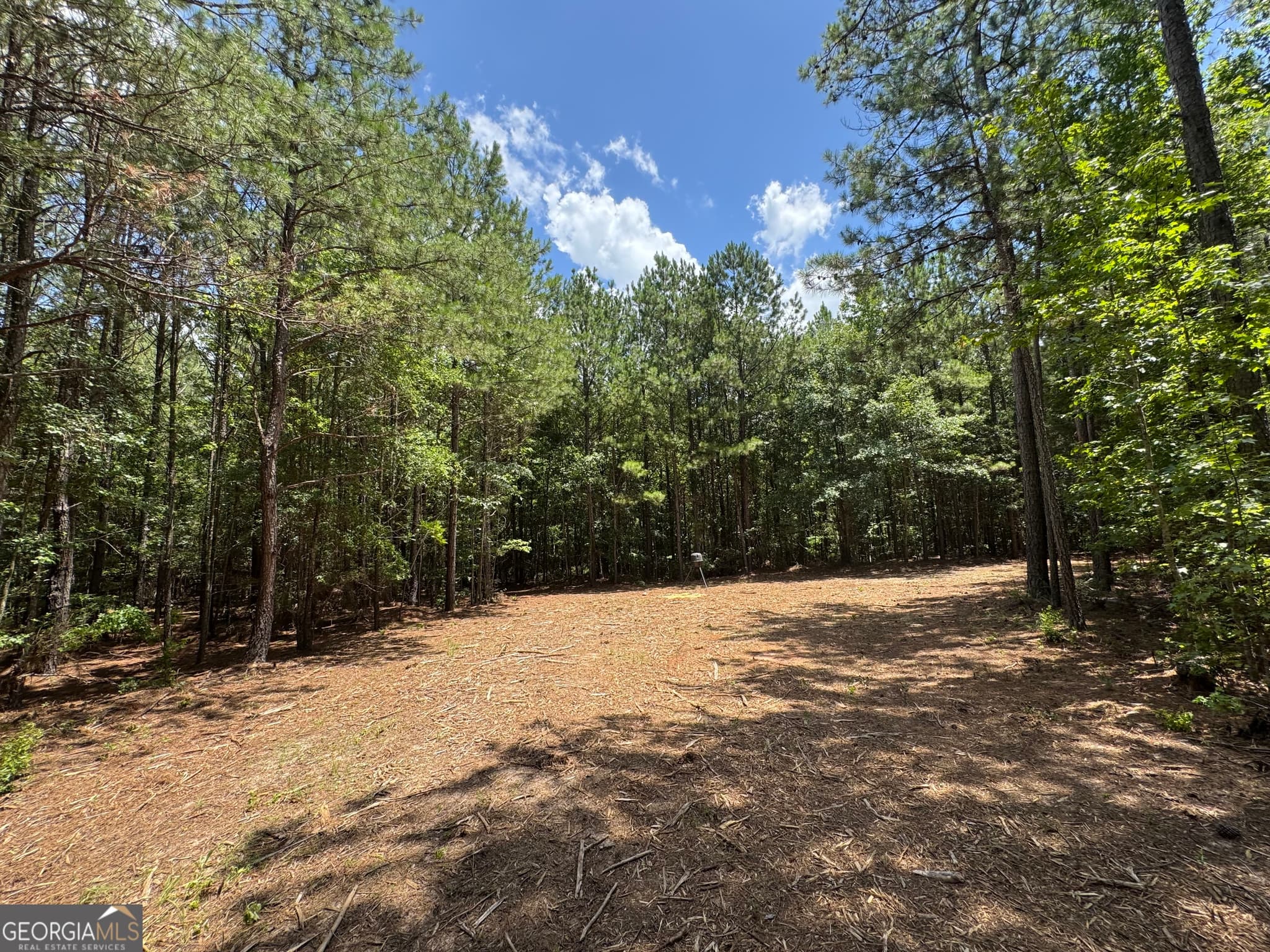 agriculture for sale at 2 Roy Lawrence Road, Sparta, GA 31087 — photo 7
