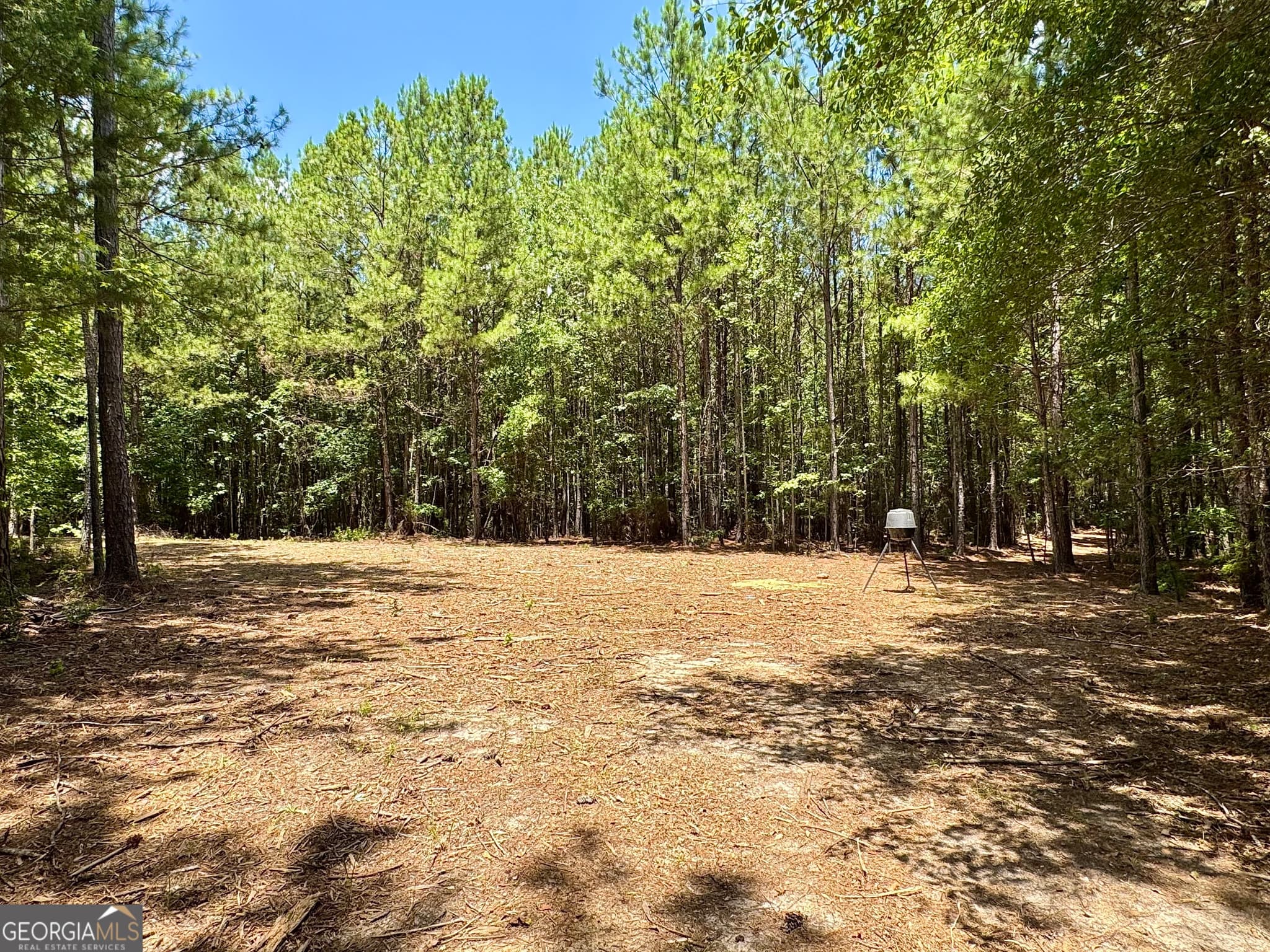 agriculture for sale at 2 Roy Lawrence Road, Sparta, GA 31087 — photo 3