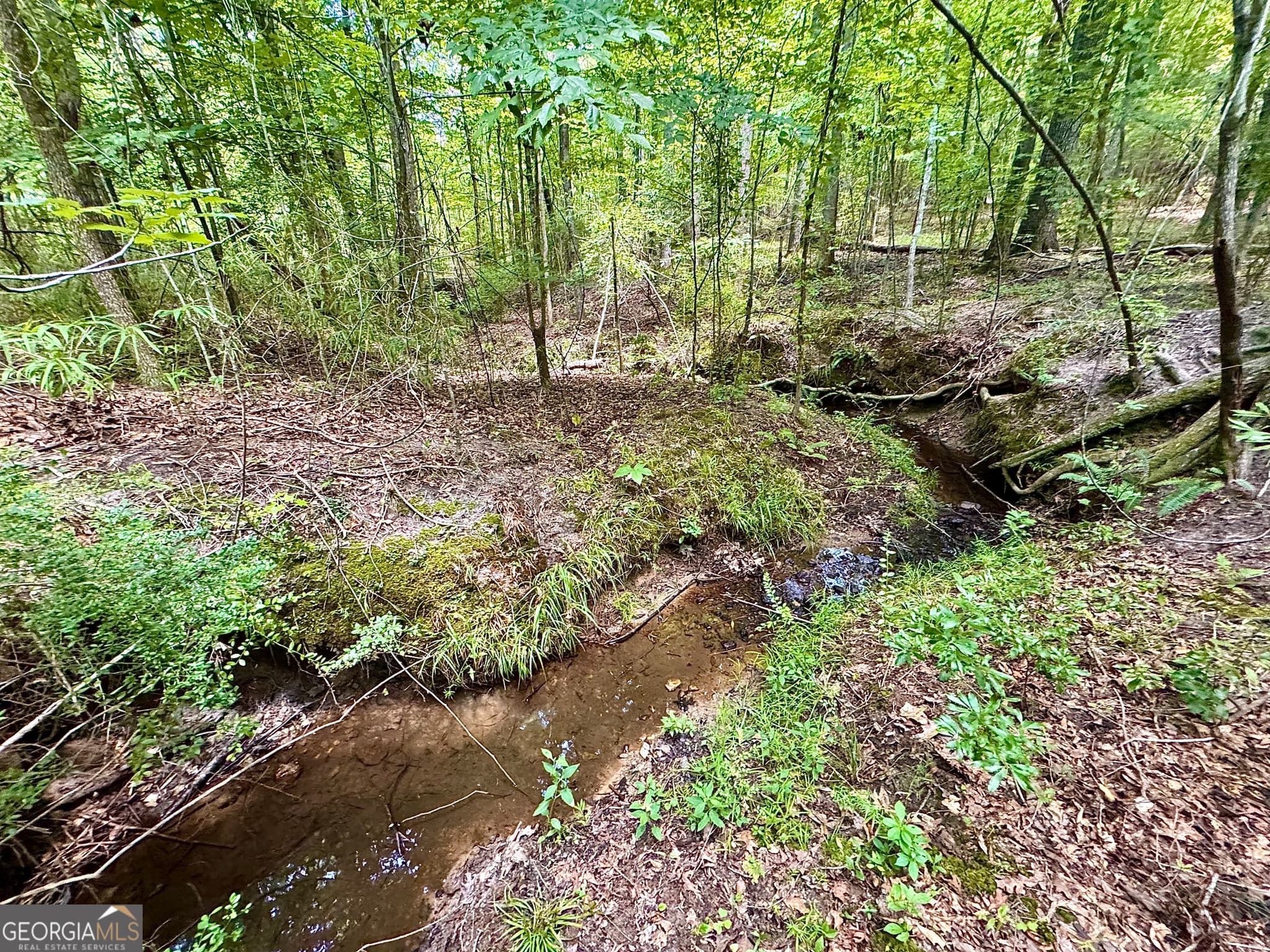 agriculture for sale at 2 Roy Lawrence Road, Sparta, GA 31087