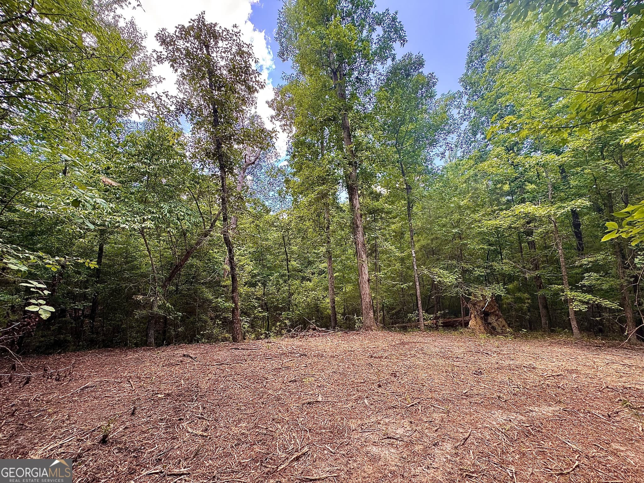 agriculture for sale at 2 Roy Lawrence Road, Sparta, GA 31087 — photo 9