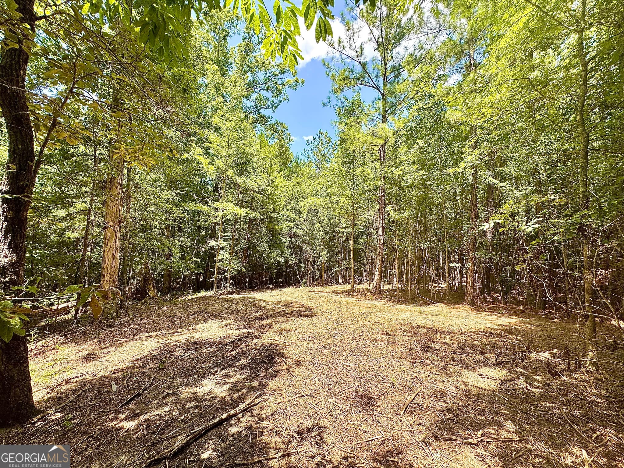 agriculture for sale at 2 Roy Lawrence Road, Sparta, GA 31087 — photo 10