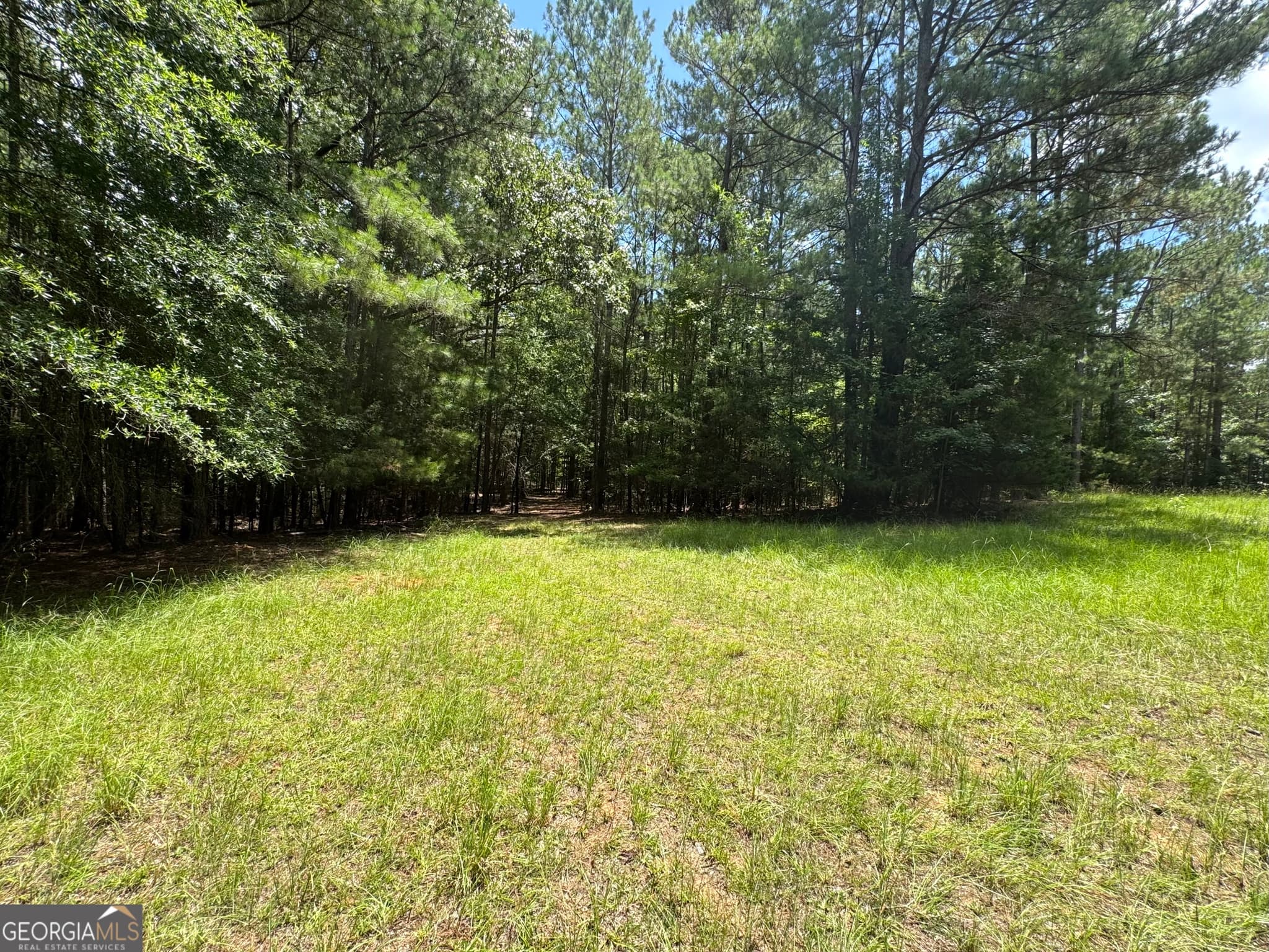 agriculture for sale at 2 Roy Lawrence Road, Sparta, GA 31087 — photo 8