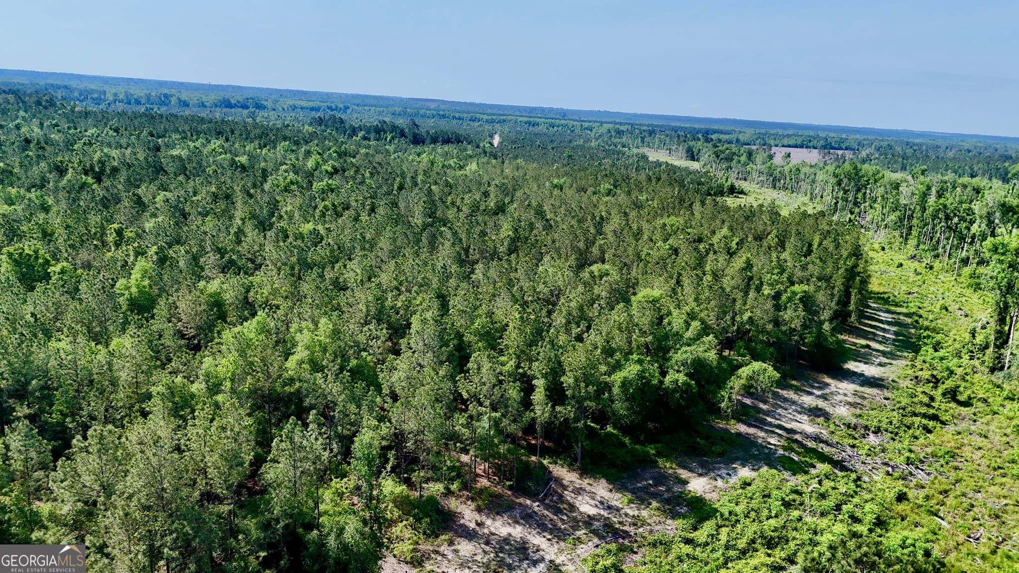 agriculture for sale at 0 Tillman Cemetery Road, Lumber City, GA 31549 — photo 3