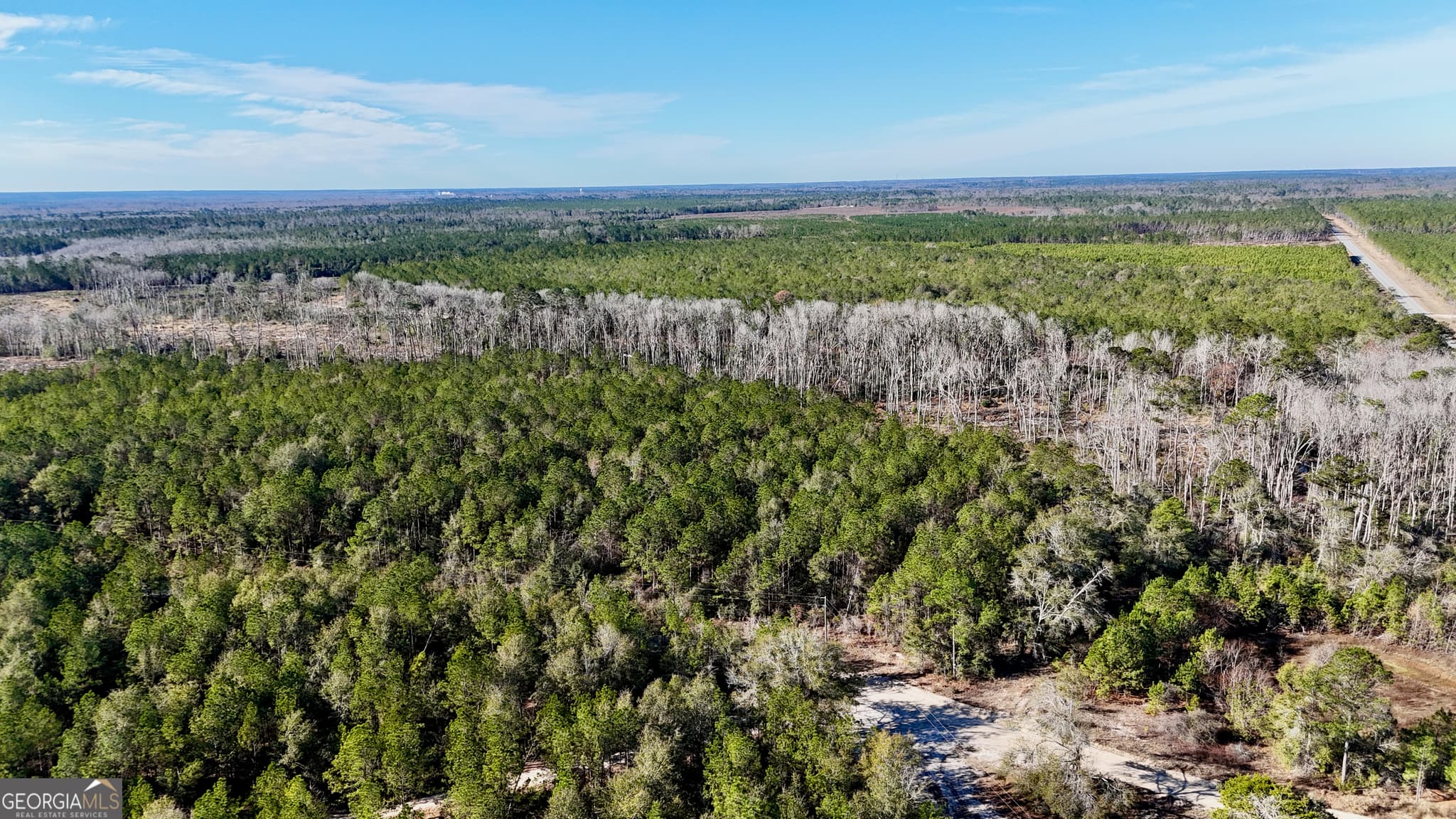 agriculture for sale at 0 Tillman Cemetery Road, Lumber City, GA 31549 — photo 5