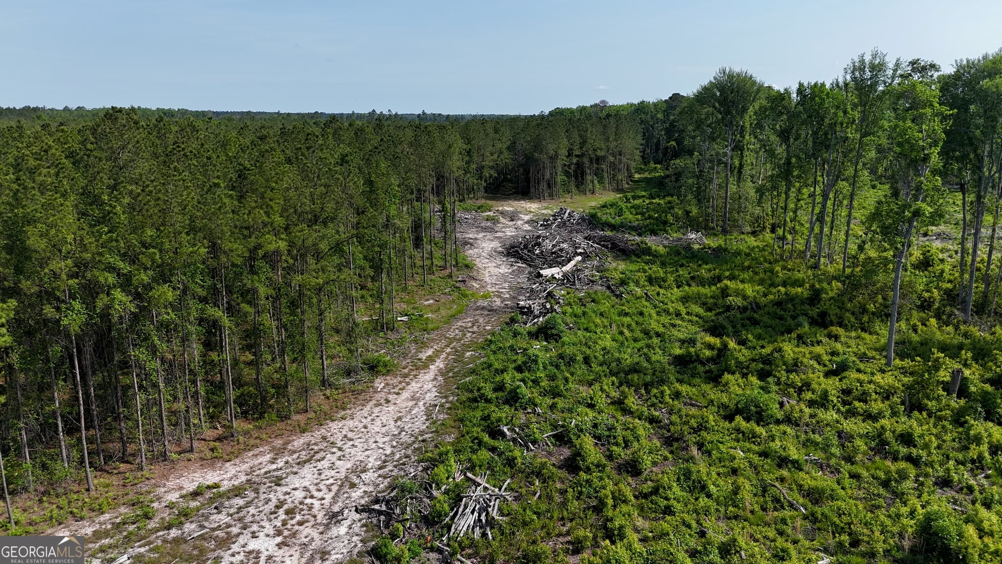 agriculture for sale at 0 Tillman Cemetery Road, Lumber City, GA 31549 — photo 9