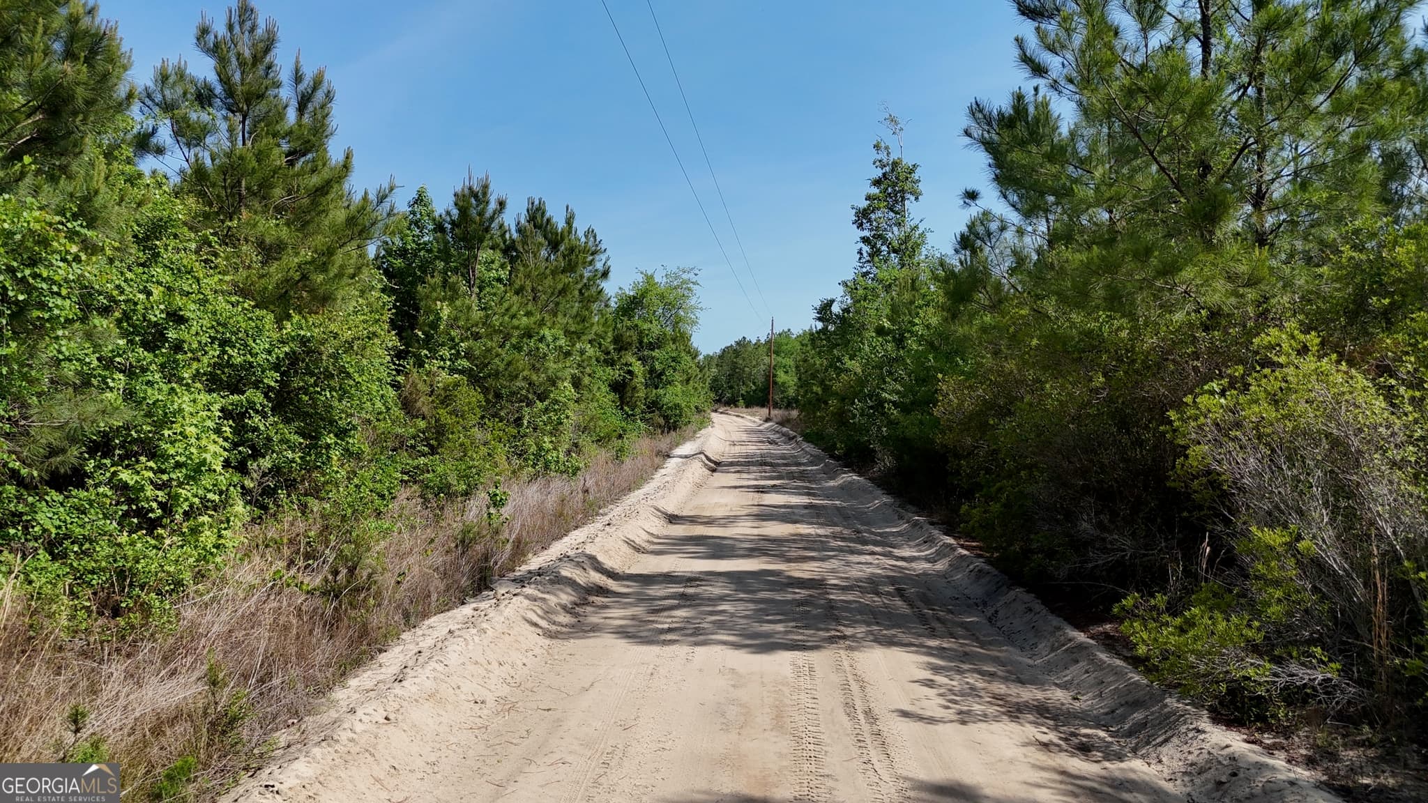 agriculture for sale at 0 Tillman Cemetery Road, Lumber City, GA 31549 — photo 10