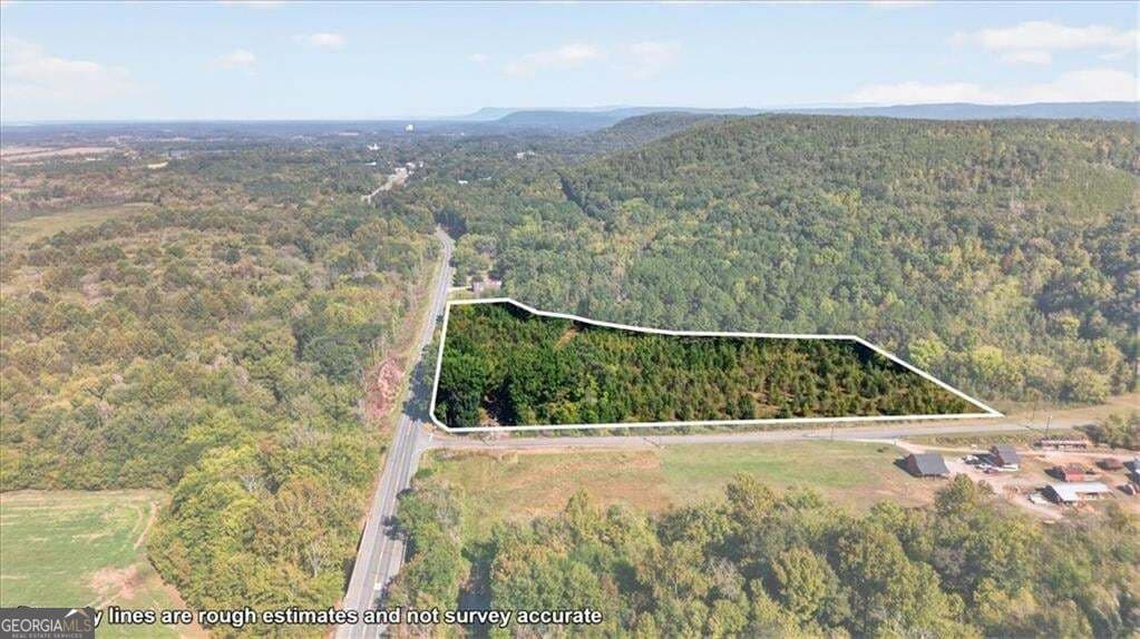unimproved land for sale at 0 Hwy 411, Fairmount, GA 30139 — photo 6