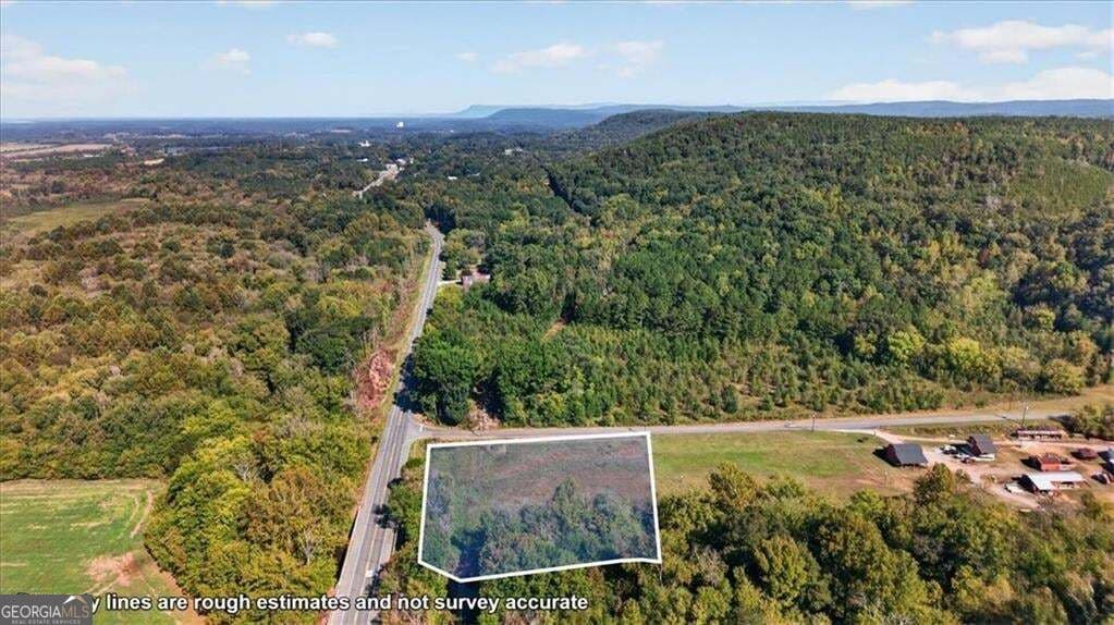 unimproved land for sale at 0 Hwy 411, Fairmount, GA 30139 — photo 7