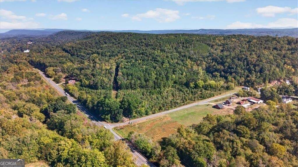 unimproved land for sale at 0 Hwy 411, Fairmount, GA 30139 — photo 5