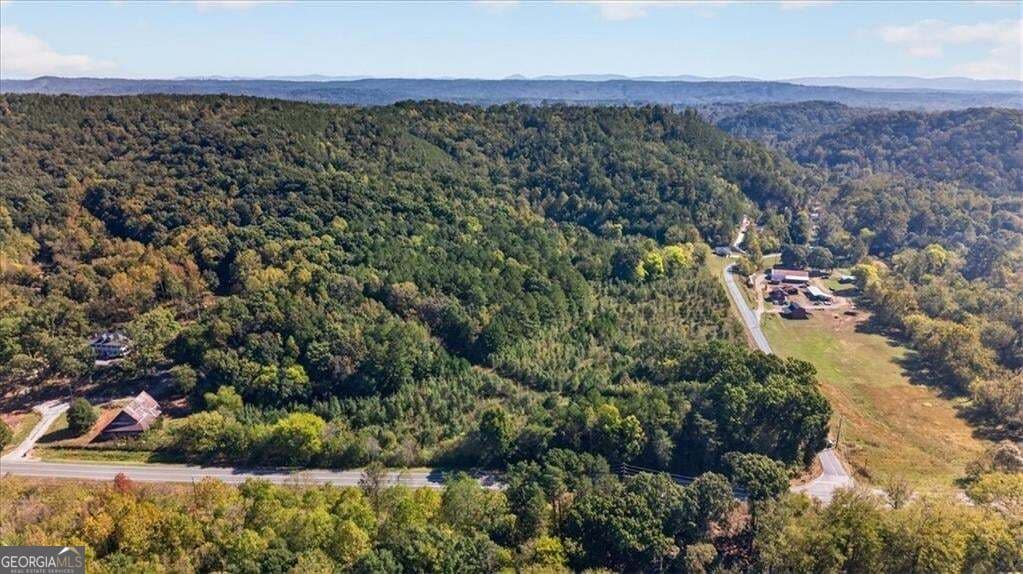 unimproved land for sale at 0 Hwy 411, Fairmount, GA 30139 — photo 9