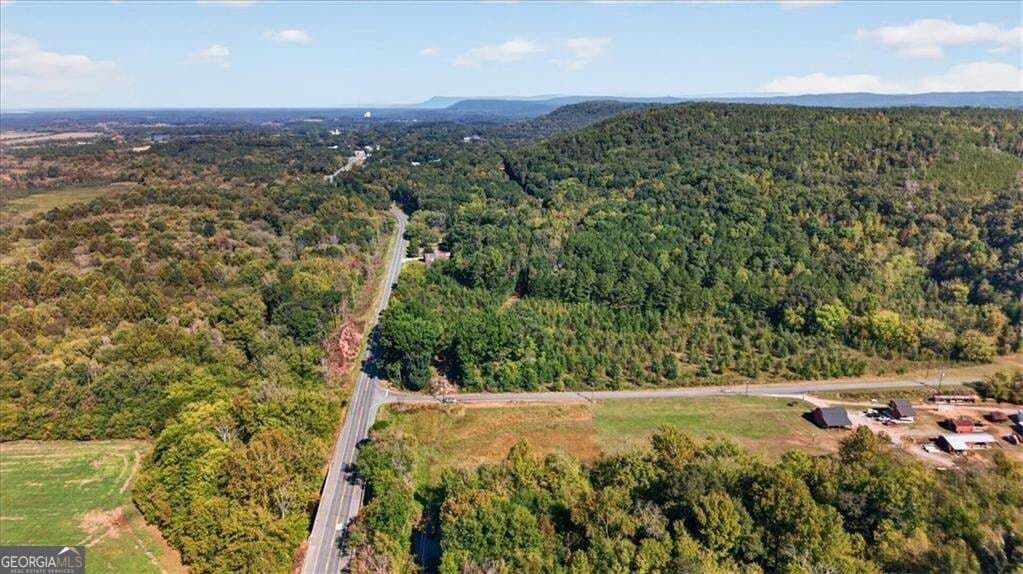 unimproved land for sale at 0 Hwy 411, Fairmount, GA 30139 — photo 8