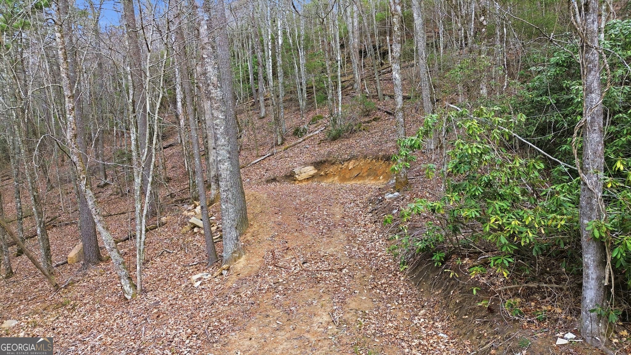 residential lot for sale at 0 Franklin Road, Highlands, NC 28741 — photo 7