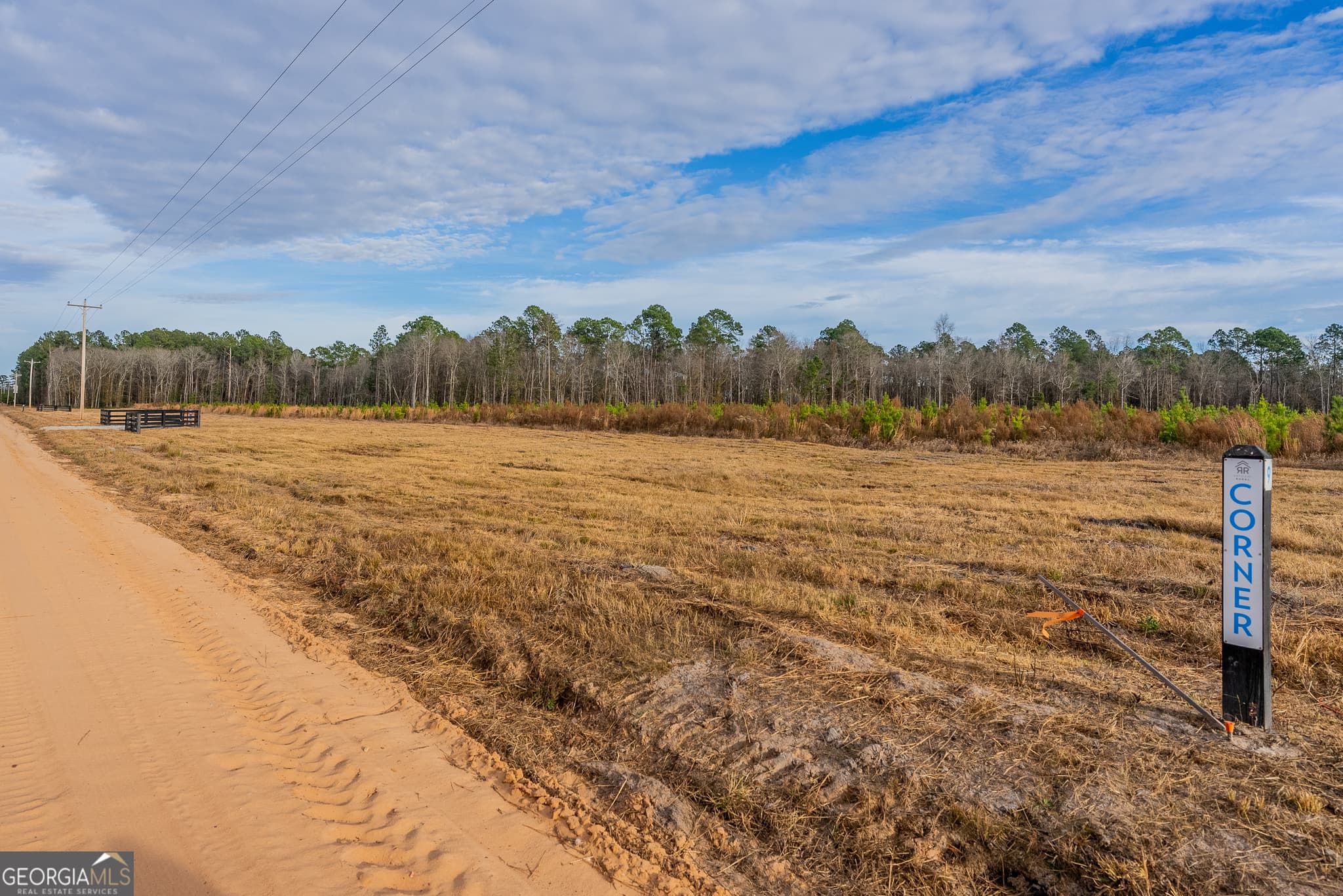 agriculture for sale at LOT 8 Arcola Road, Brooklet, GA 30415 — photo 3