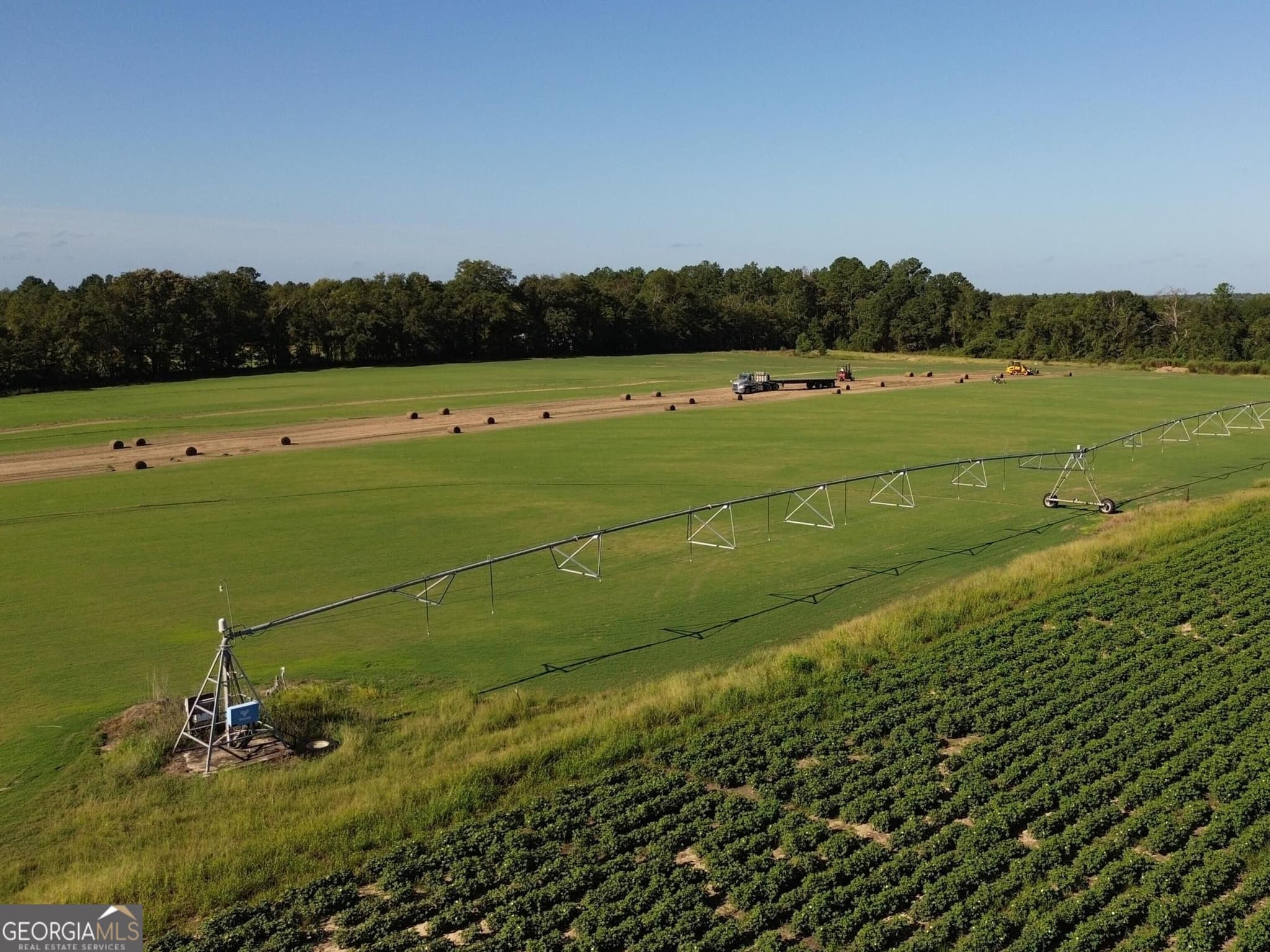 agriculture for sale at 3494 Cameron Road, Sylvania, GA 30467 — photo 2
