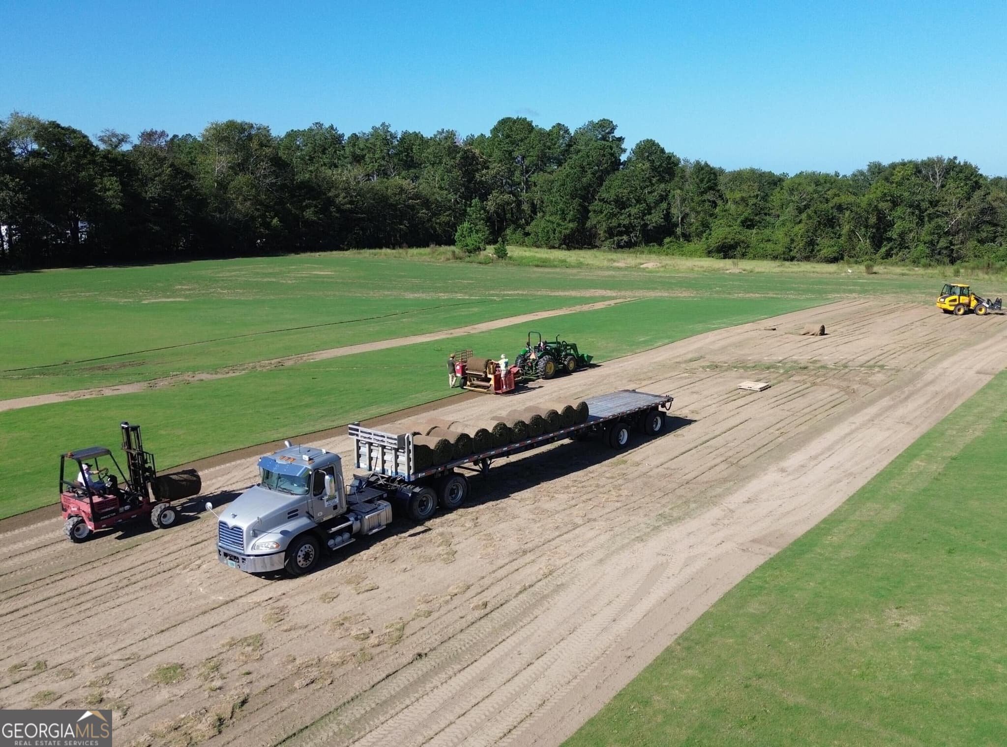 agriculture for sale at 3494 Cameron Road, Sylvania, GA 30467 — photo 9
