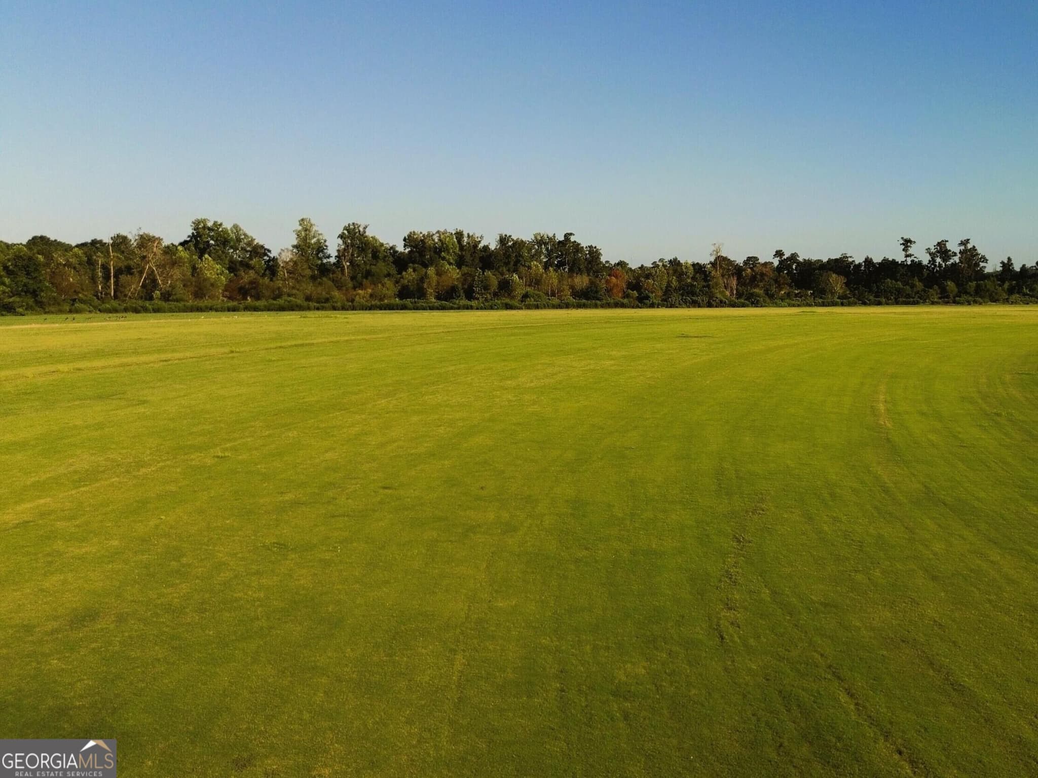 agriculture for sale at 3494 Cameron Road, Sylvania, GA 30467 — photo 4