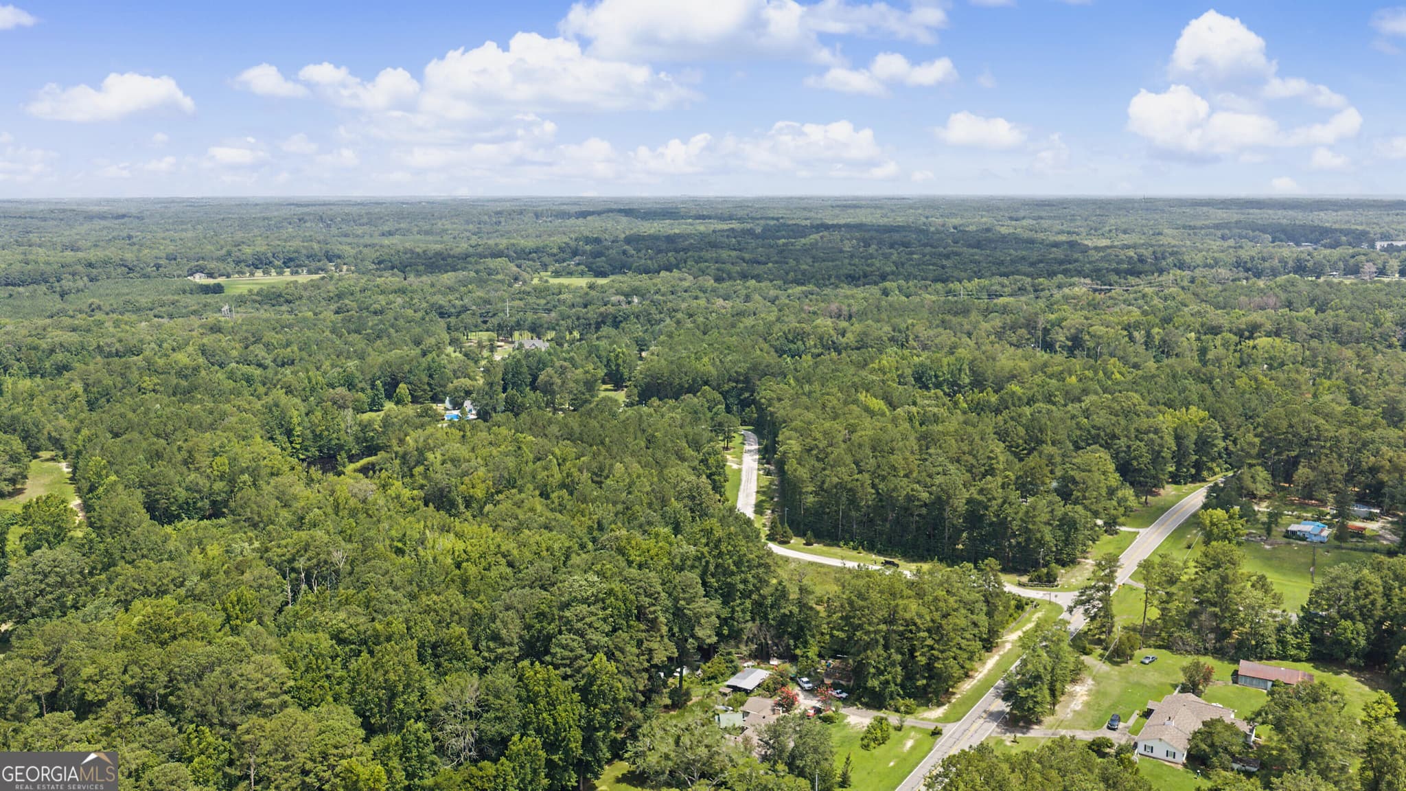 residential lot for sale at LOT 1 Bradleys Line Drive, Senoia, GA 30276 — photo 5