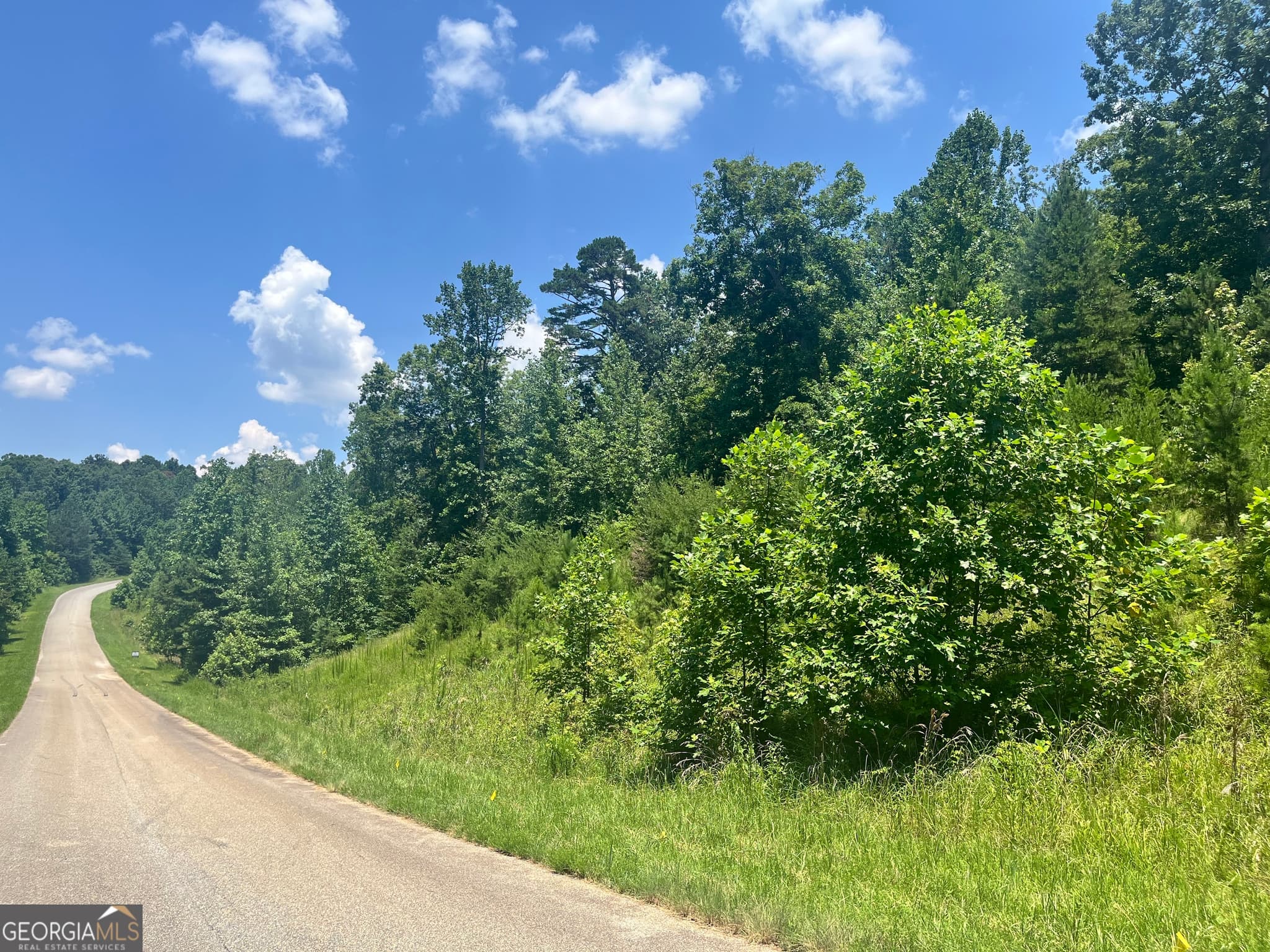 estate lot for sale at 3877 Reservoir Drive TRACT 13, Gainesville, GA 30507 — photo 3