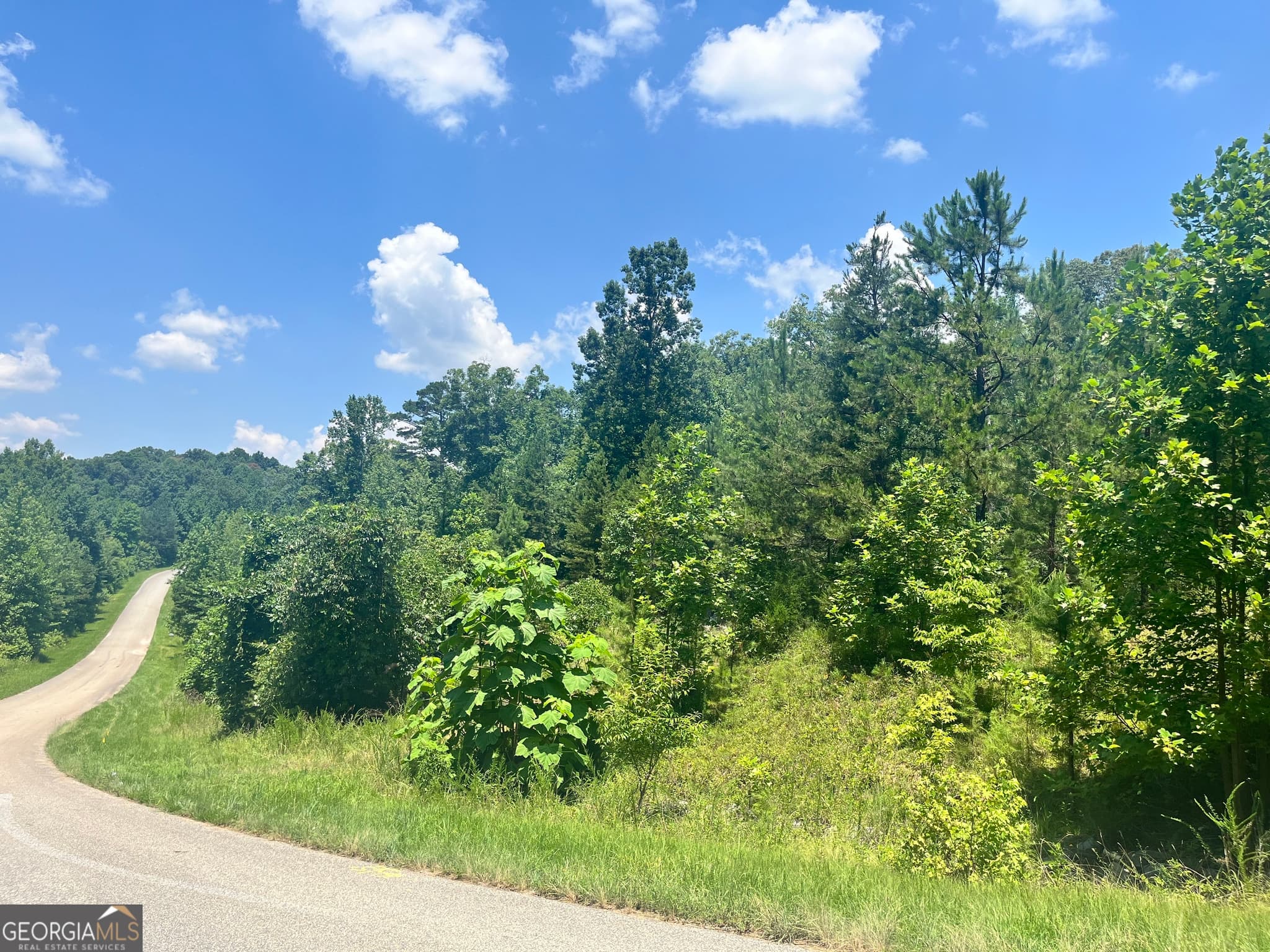 estate lot for sale at 3877 Reservoir Drive TRACT 13, Gainesville, GA 30507 — photo 9
