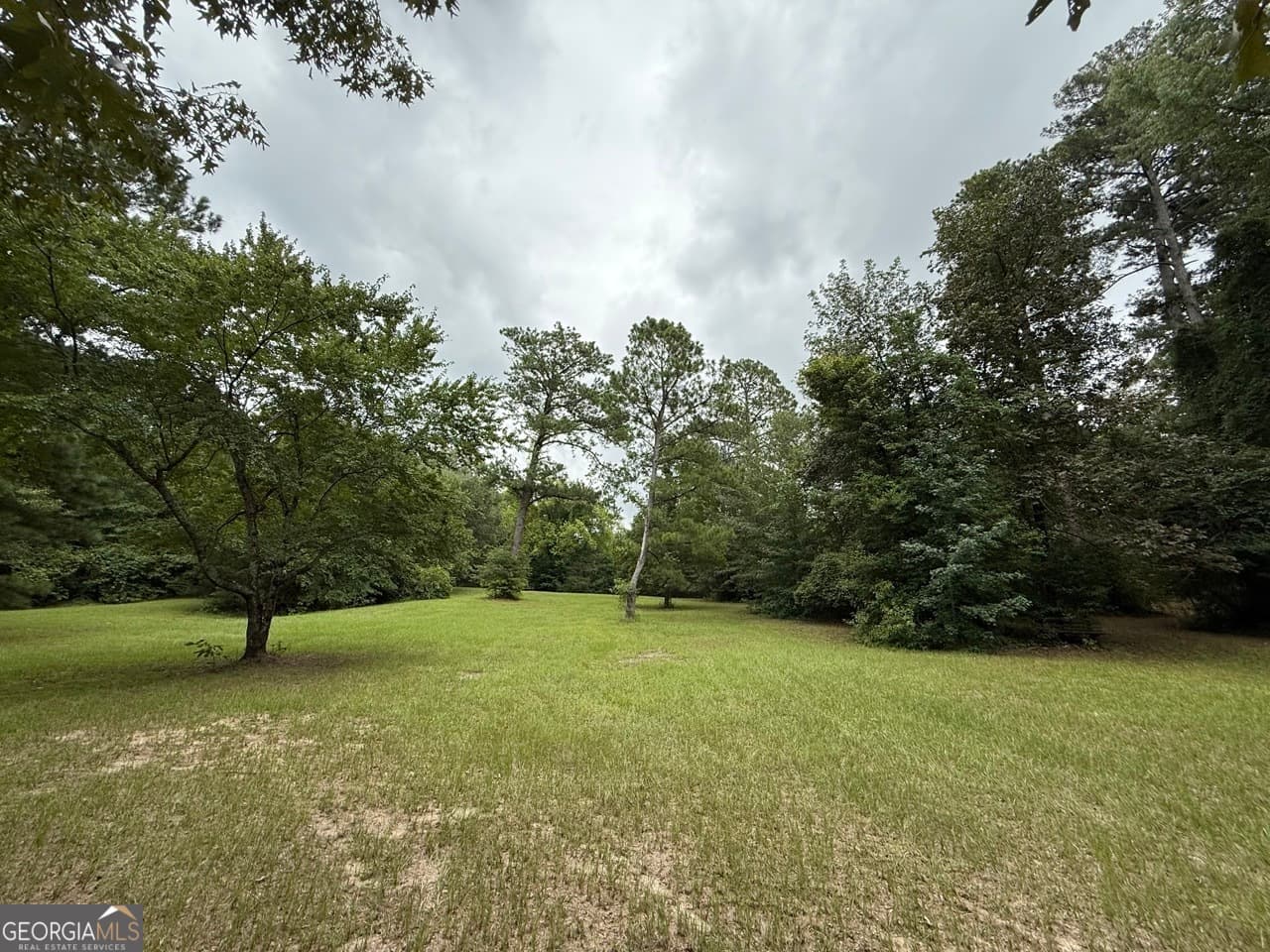 unimproved land for sale at 2251 Boy scout Road, Byron, GA 31008 — photo 10