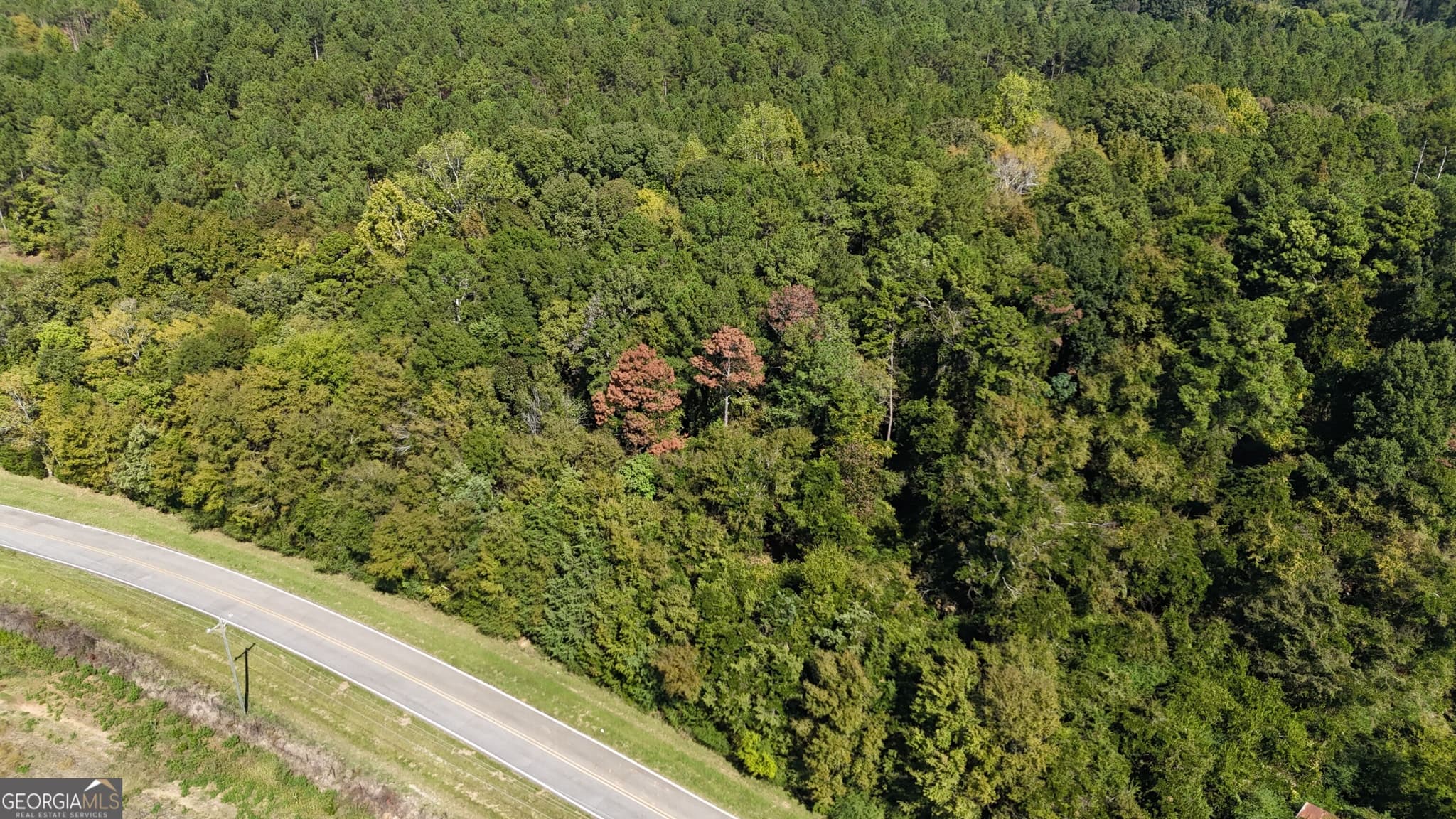 agriculture for sale at 0 Heardmont Road, Elberton, GA 30635 — photo 4