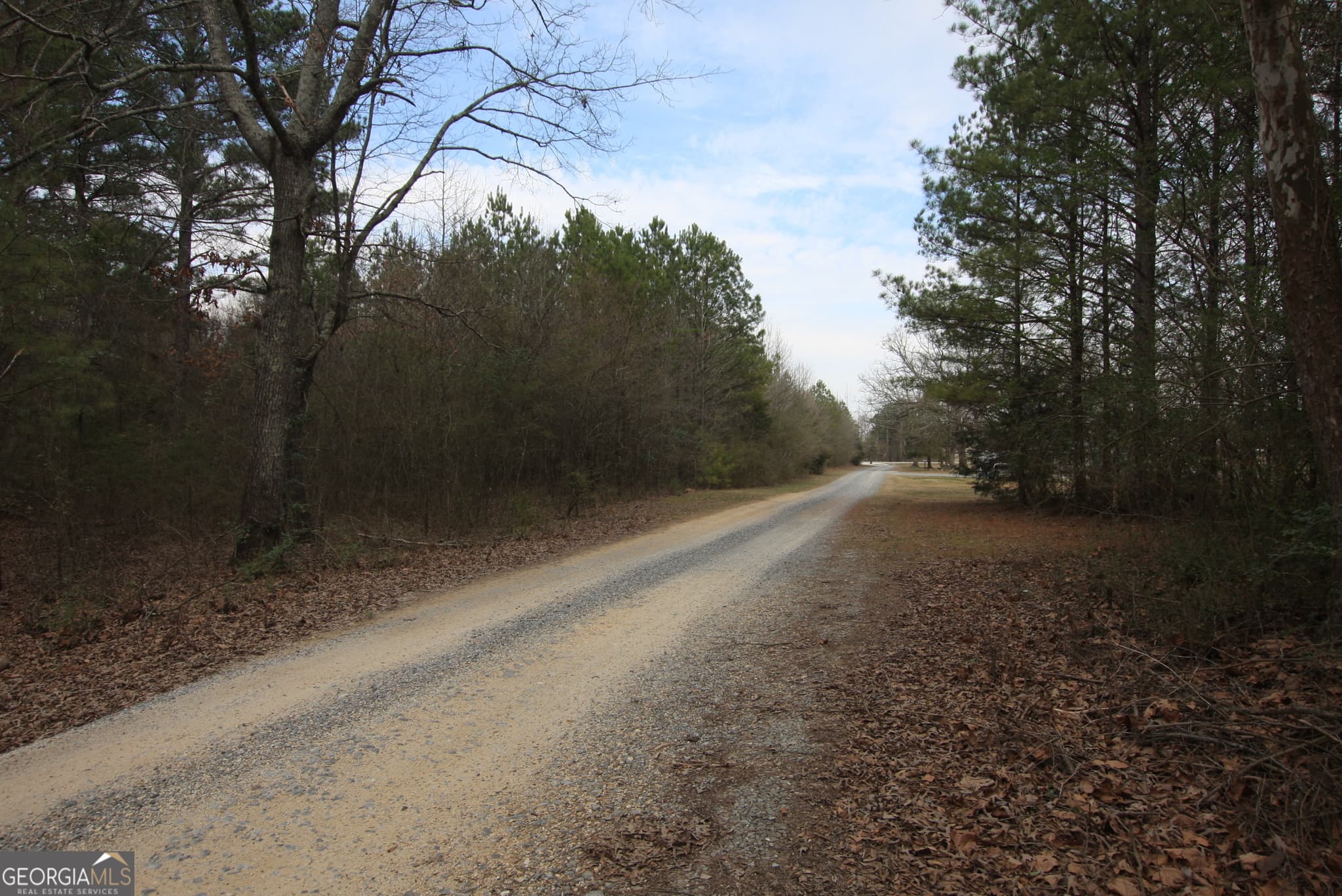 unimproved land for sale at 0 Old Highway 411, Centre, AL 35960 — photo 7