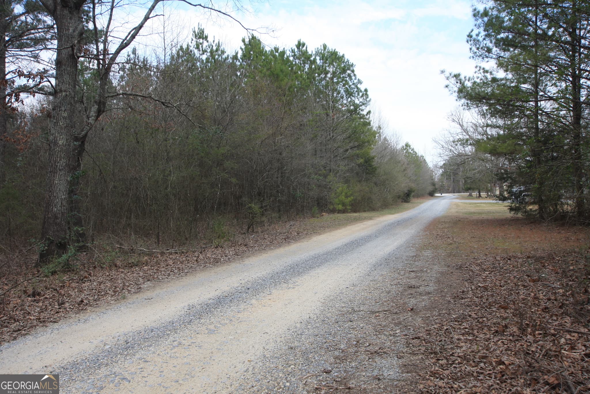 unimproved land for sale at 0 Old Highway 411, Centre, AL 35960 — photo 5
