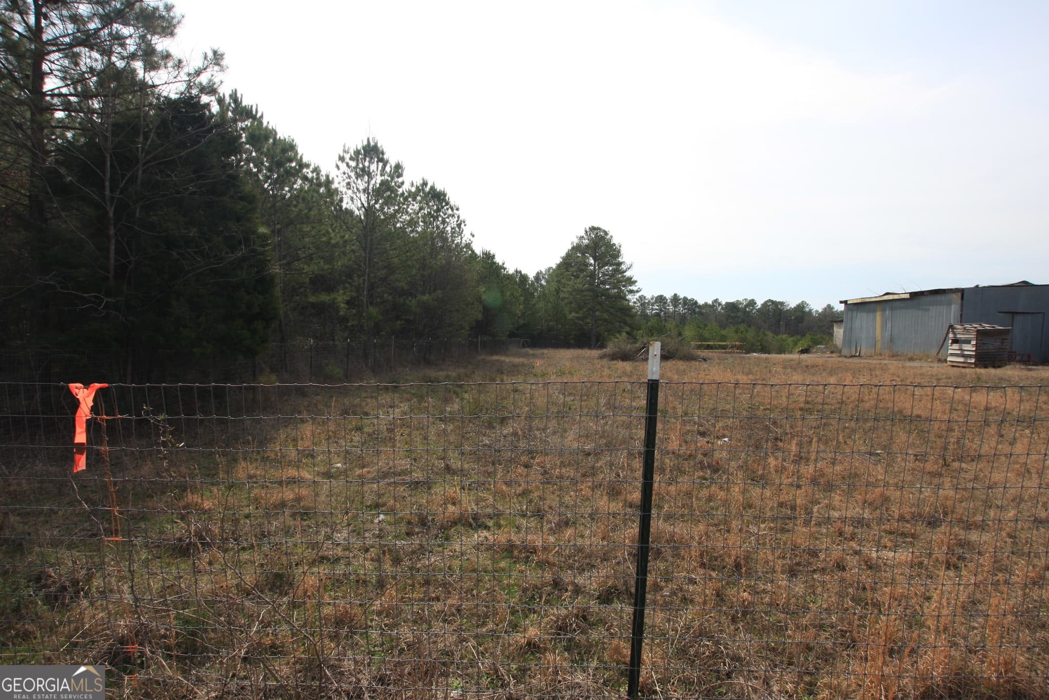 unimproved land for sale at 0 Old Highway 411, Centre, AL 35960 — photo 4