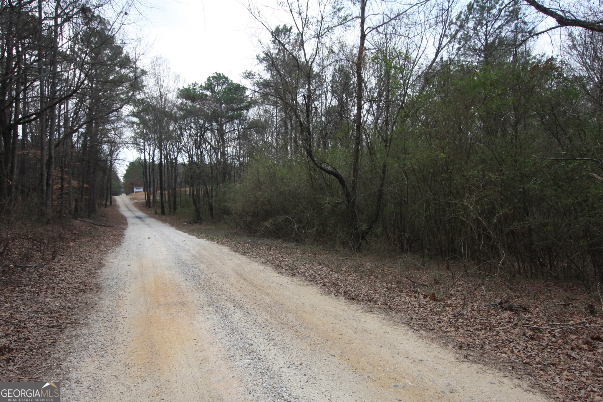 unimproved land for sale at 0 Old Highway 411, Centre, AL 35960 — photo 8