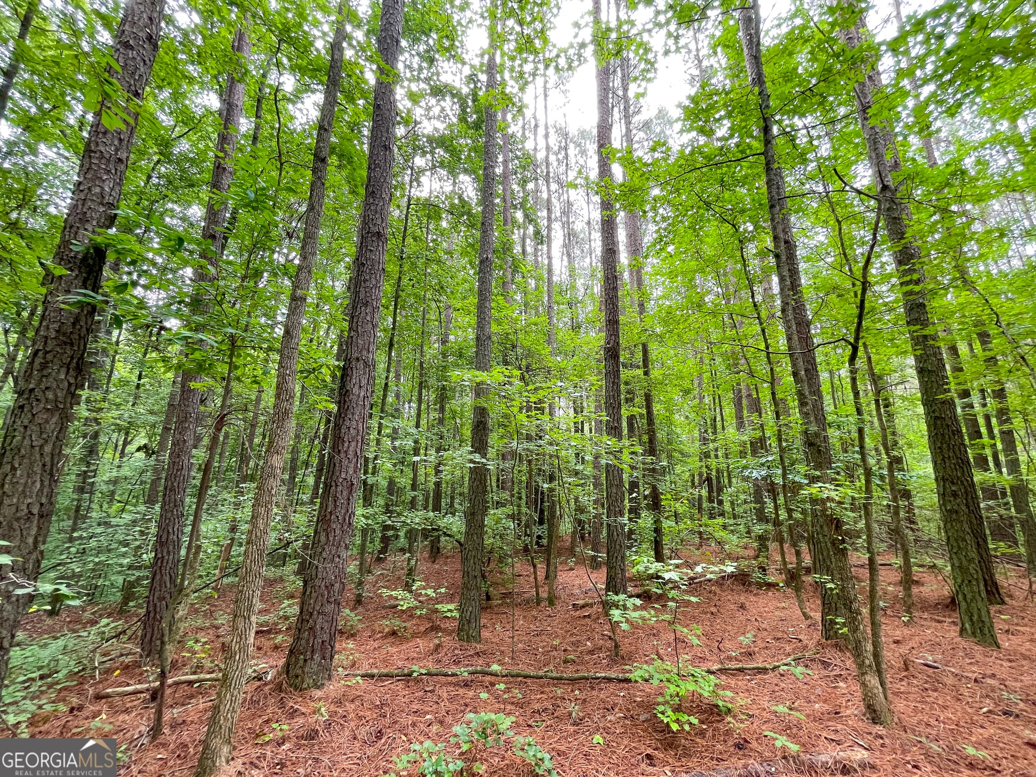 agriculture for sale at 18 +/- Acres on Pope Lake Road, Buchanan, GA 30113 — photo 10