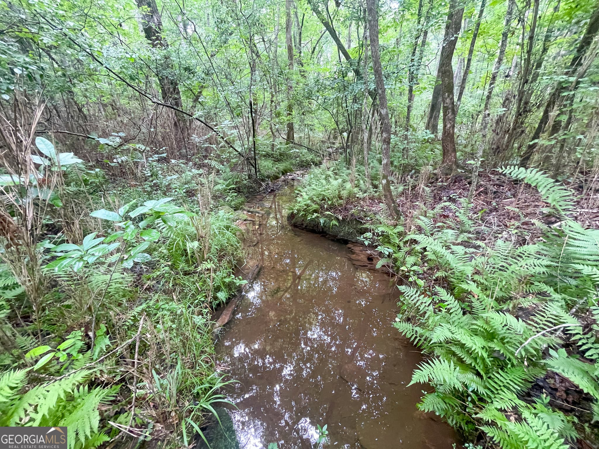 agriculture for sale at 18 +/- Acres on Pope Lake Road, Buchanan, GA 30113 — photo 4