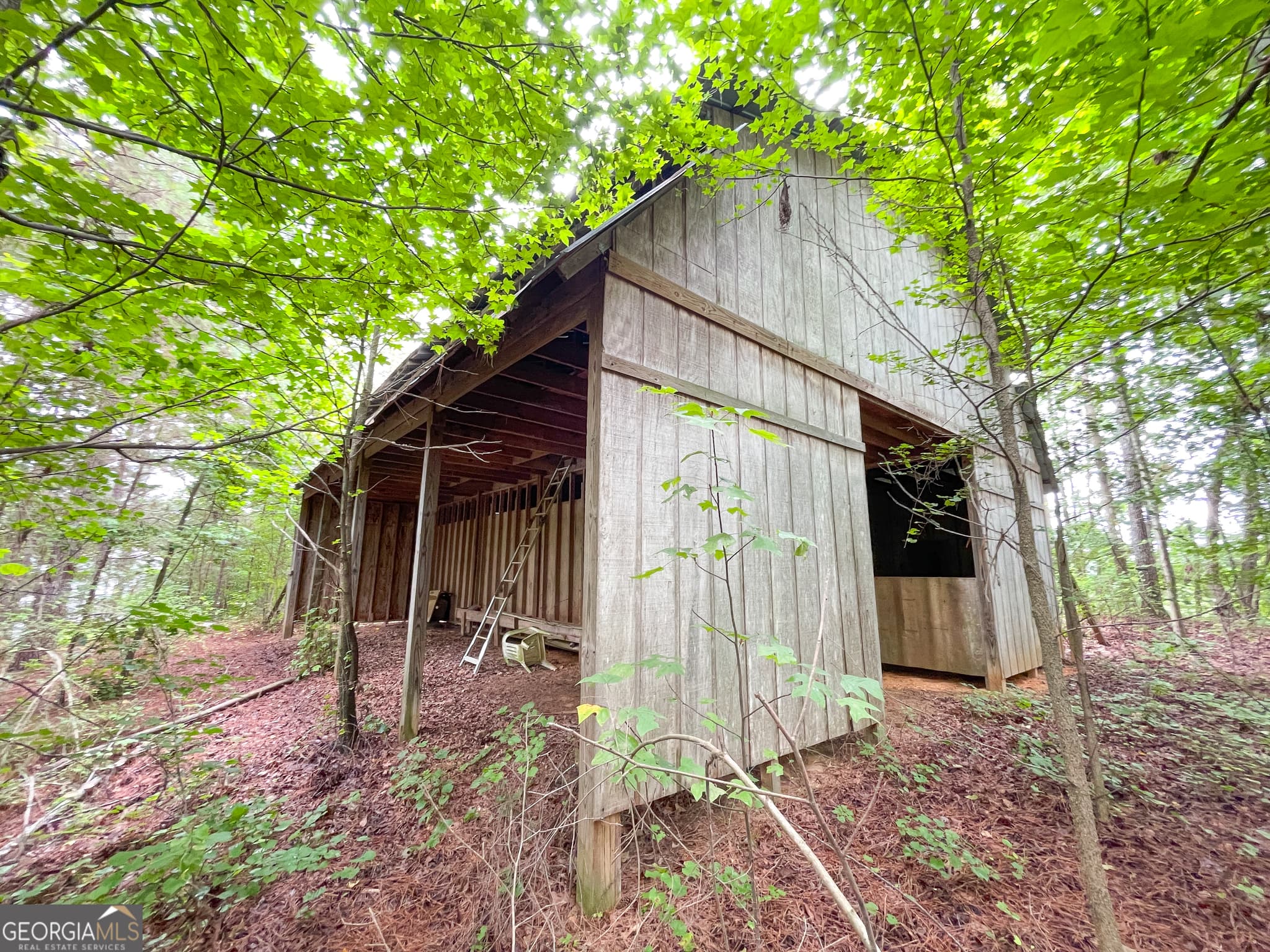 agriculture for sale at 18 +/- Acres on Pope Lake Road, Buchanan, GA 30113 — photo 8