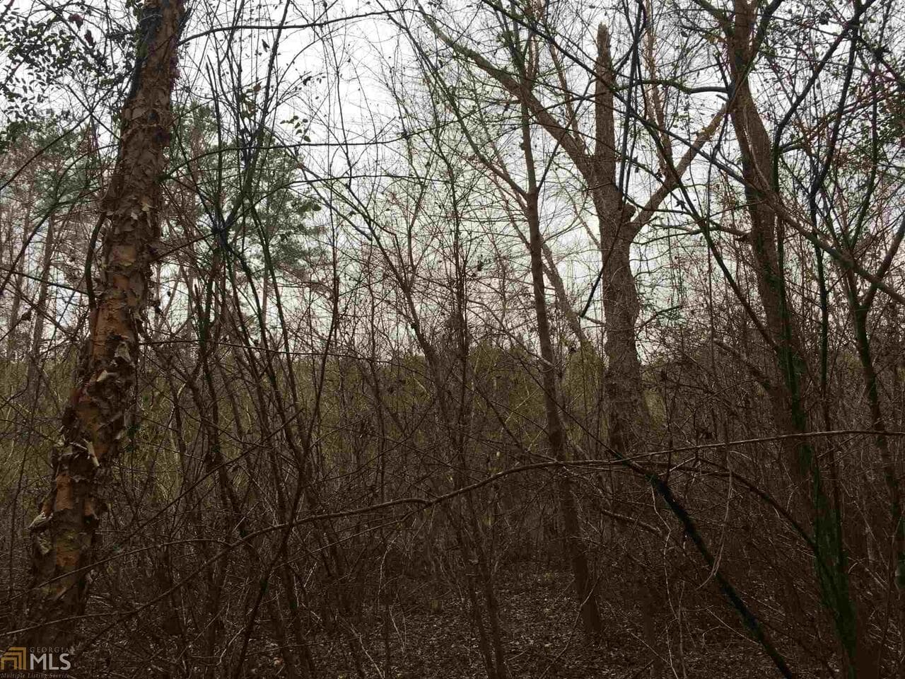 residential lot for sale at 0 19th Avenue, Lanett, AL 36863 — photo 6