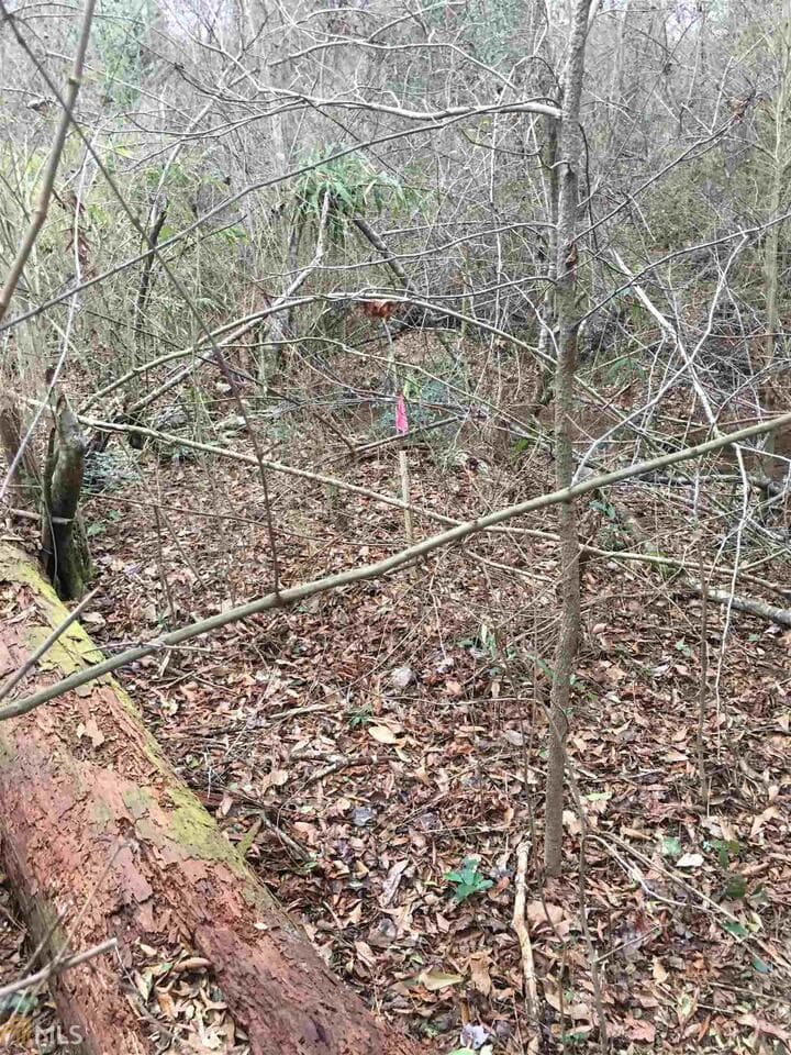residential lot for sale at 0 19th Avenue, Lanett, AL 36863 — photo 7