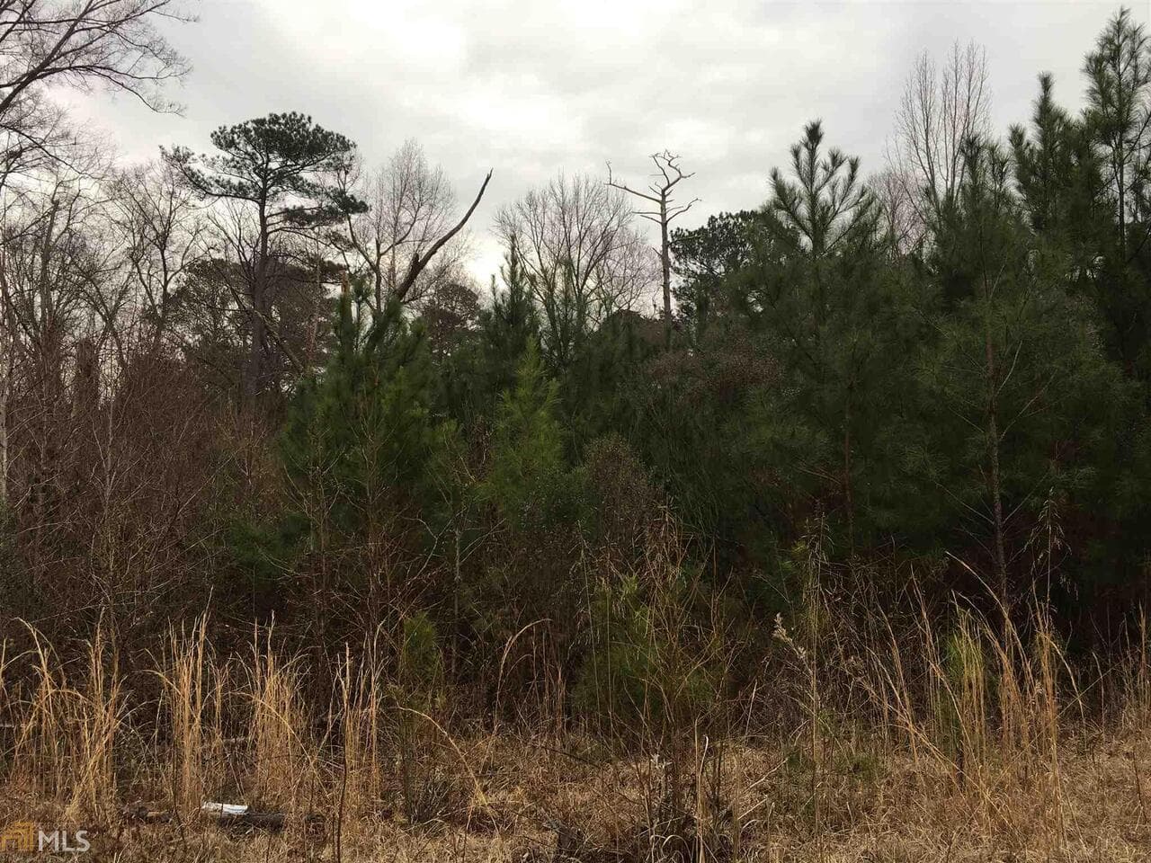 residential lot for sale at 0 19th Avenue, Lanett, AL 36863 — photo 3