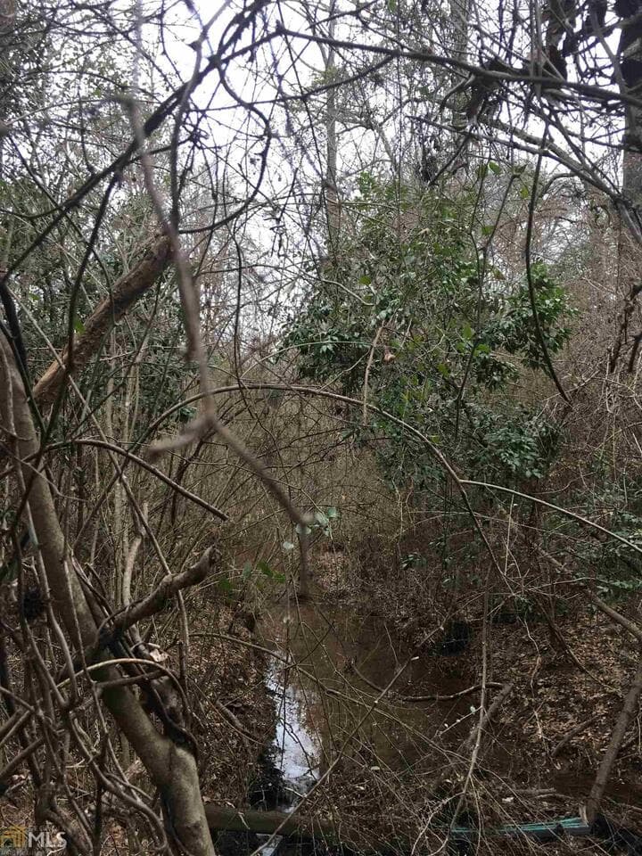 residential lot for sale at 0 19th Avenue, Lanett, AL 36863 — photo 5