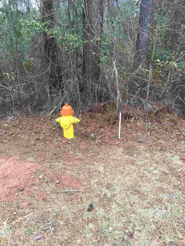 residential lot for sale at 0 19th Avenue, Lanett, AL 36863 — photo 9