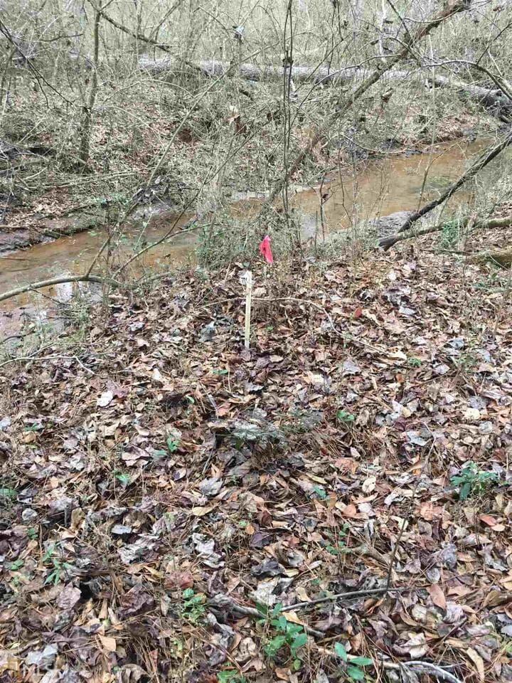 residential lot for sale at 0 19th Avenue, Lanett, AL 36863 — photo 10