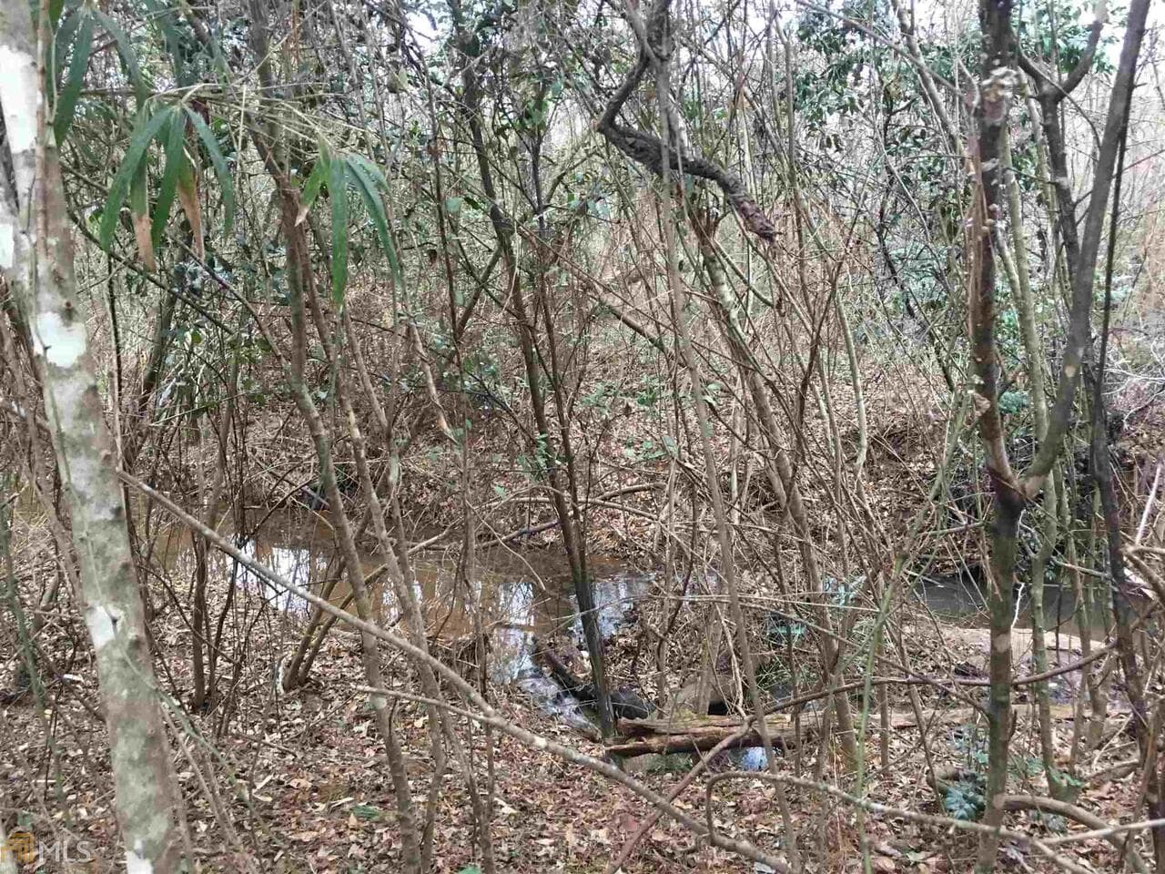 residential lot for sale at 0 19th Avenue, Lanett, AL 36863 — photo 4