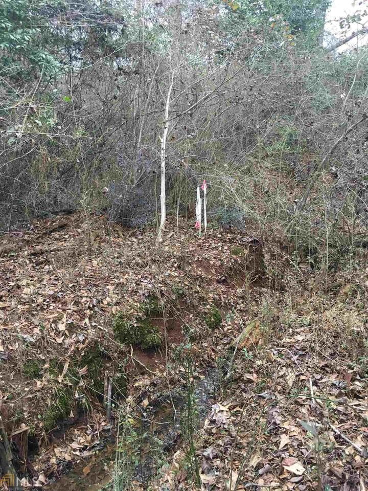 residential lot for sale at 0 19th Avenue, Lanett, AL 36863 — photo 8
