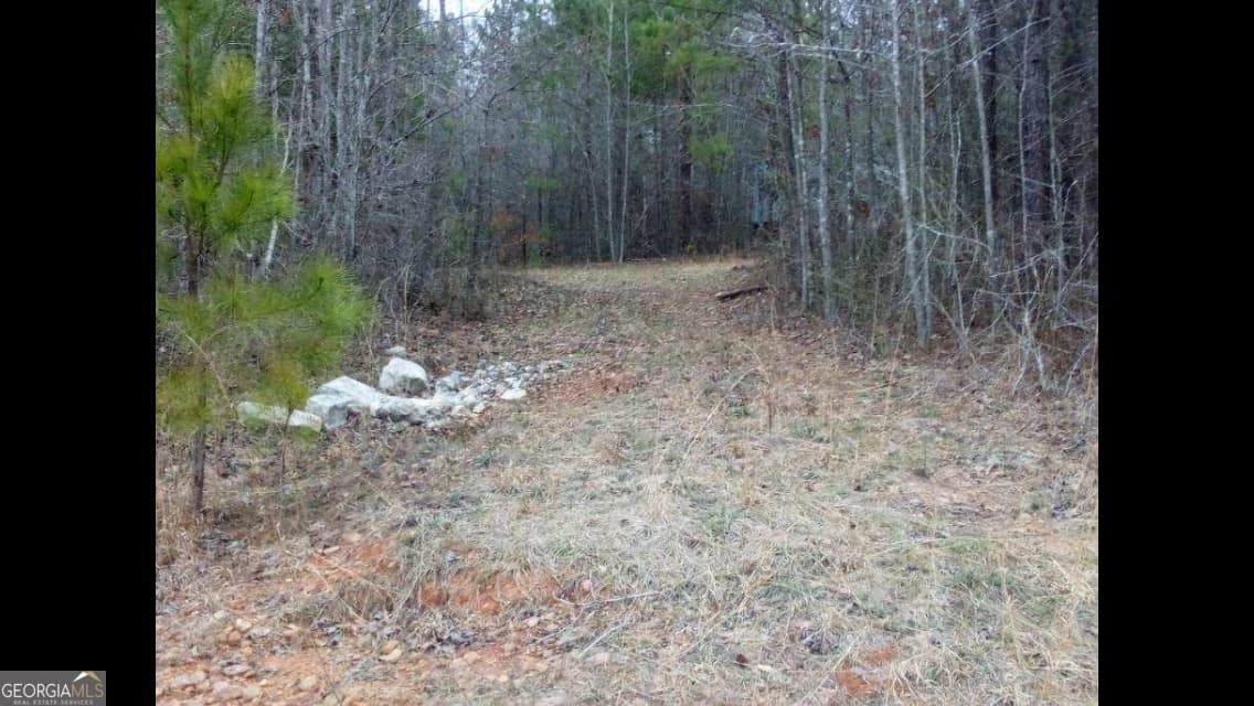 unimproved land for sale at 002 Old Woodbury Road, Woodbury, GA 30293 — photo 2