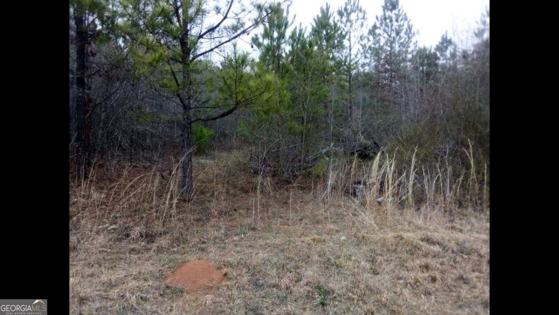 unimproved land for sale at 002 Old Woodbury Road, Woodbury, GA 30293 — photo 1 of 6