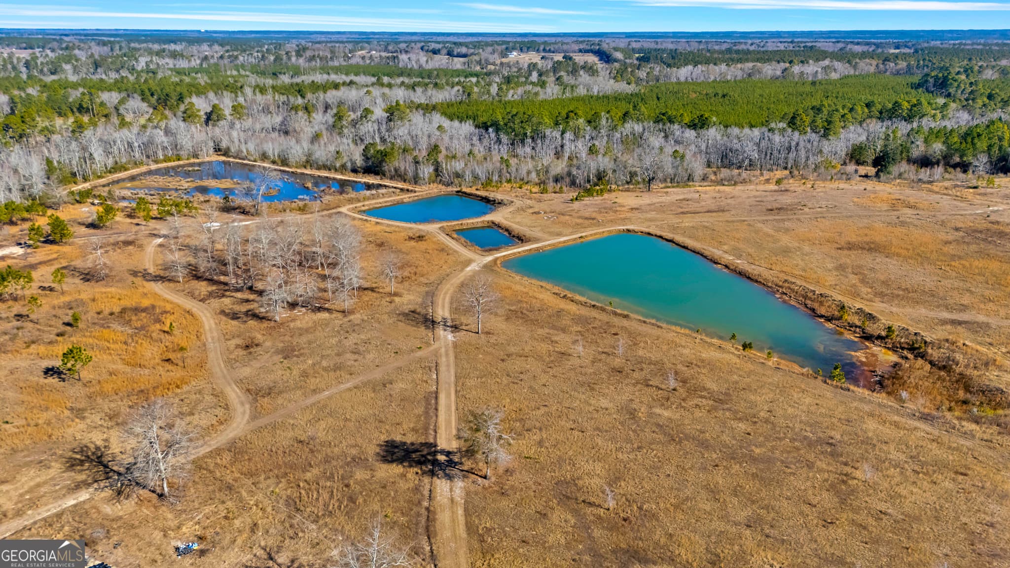 4 bedroom, 3 bathroom, 3,840 sq ft single family residence for sale at 1039 Womack Road, Garfield, GA 30425 — photo 6