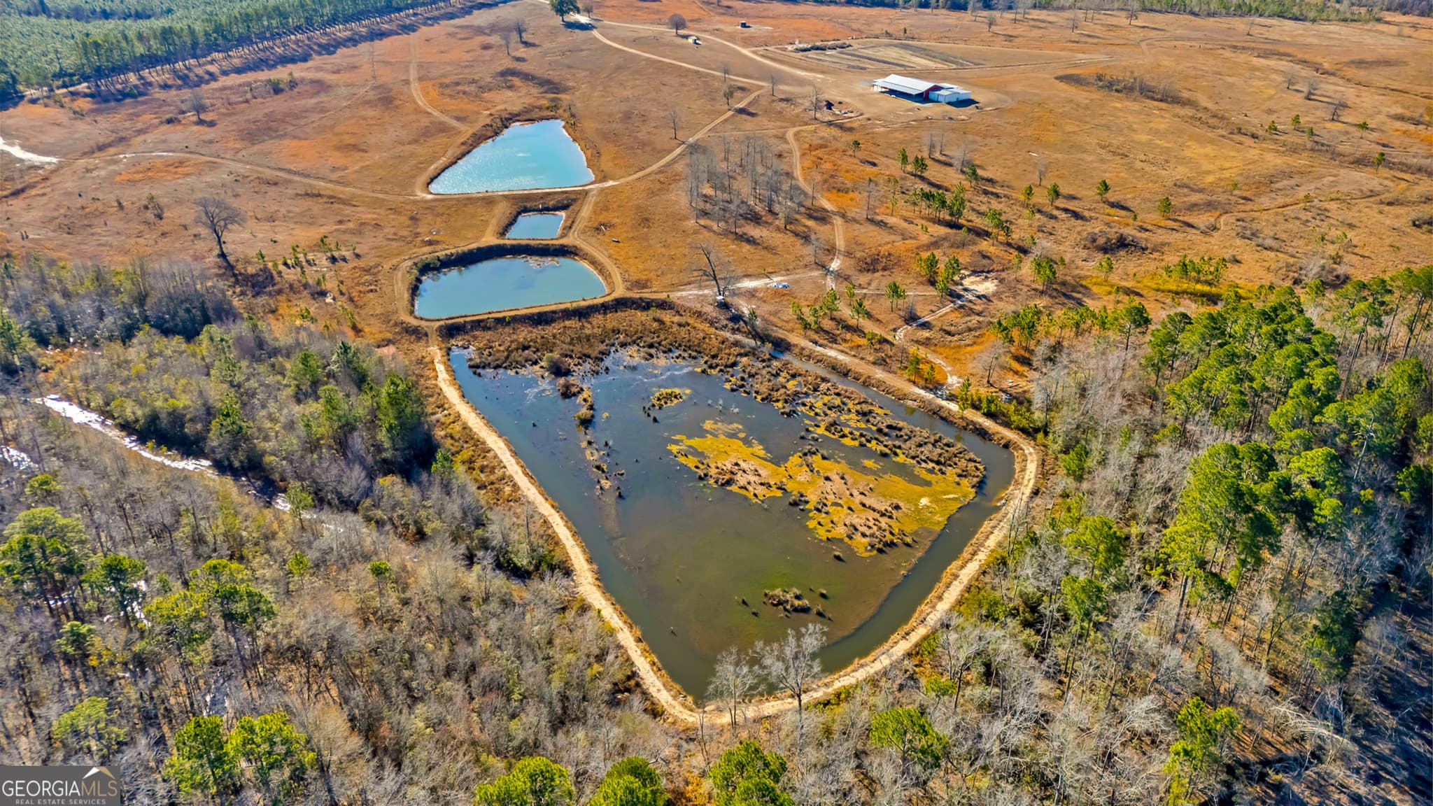 4 bedroom, 3 bathroom, 3,840 sq ft single family residence for sale at 1039 Womack Road, Garfield, GA 30425 — photo 4